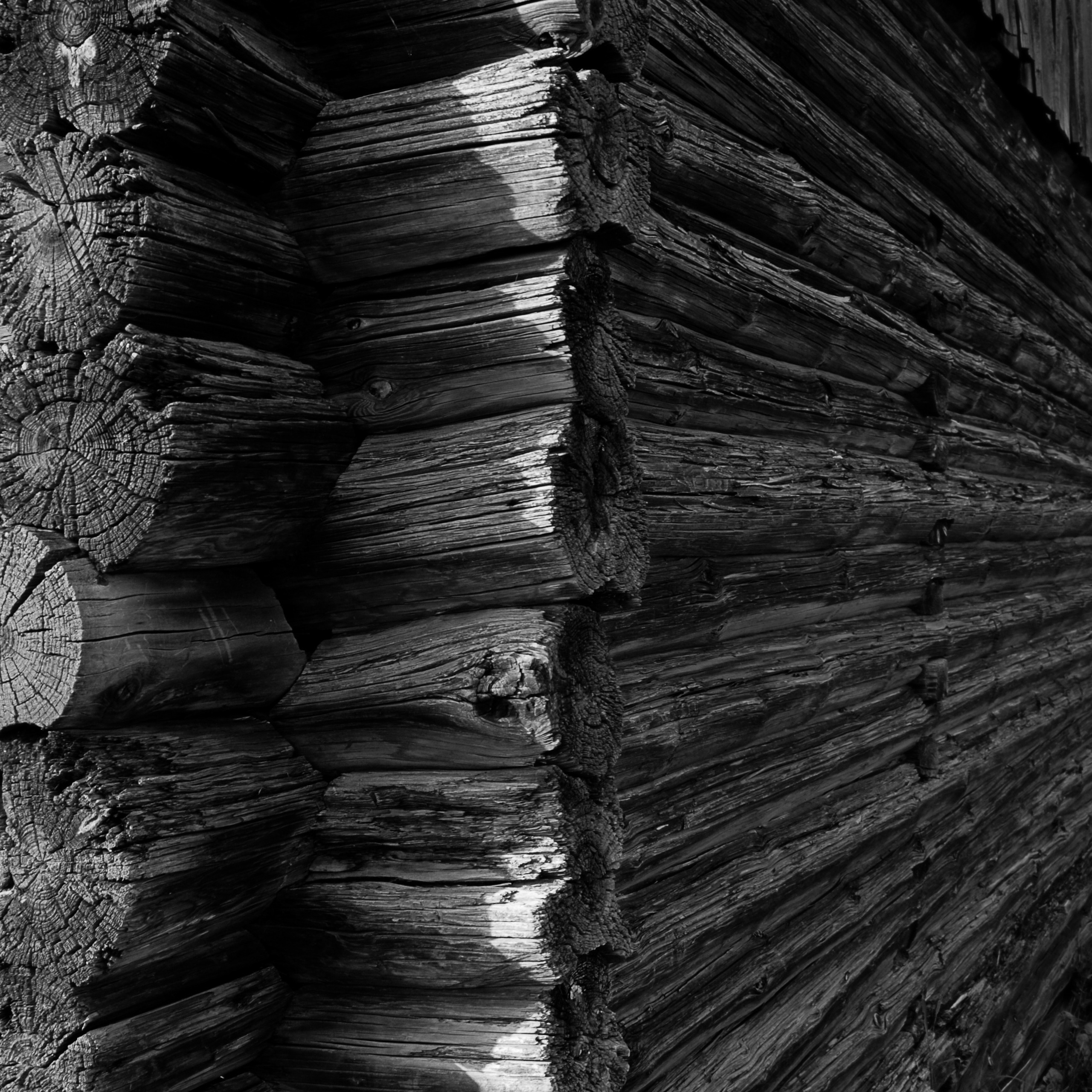 Жанр. Авторские фотографии Романа Бубнова