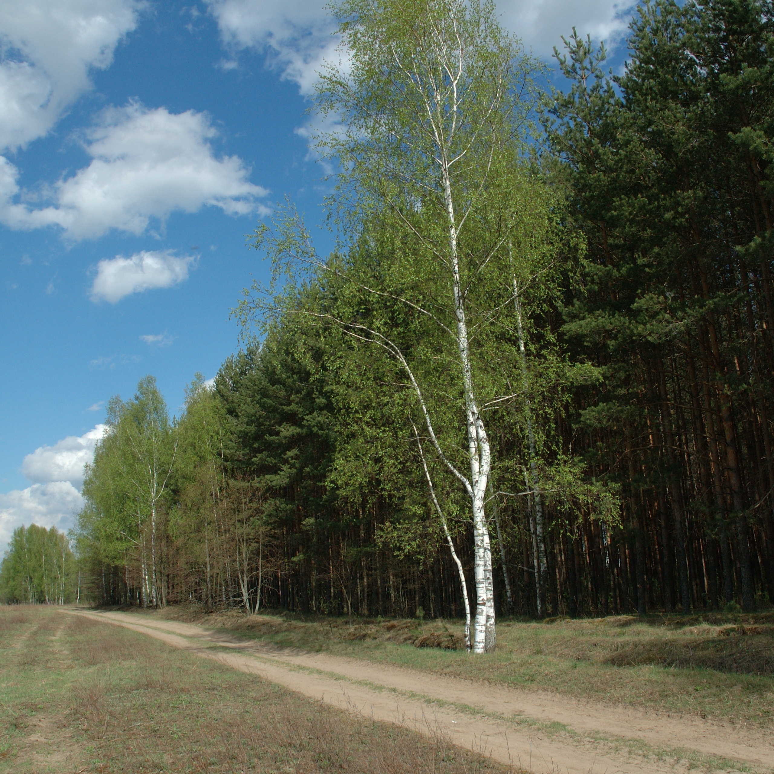 Природа. Авторские фотографии Романа Бубнова