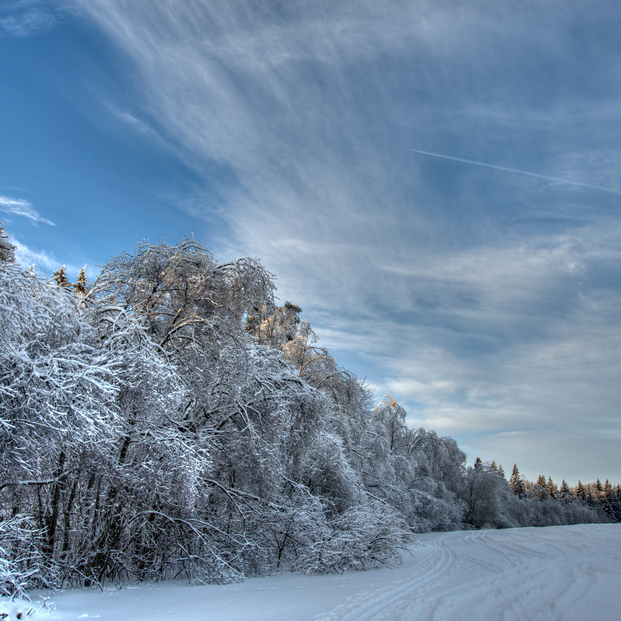Природа. Авторские фотографии Романа Бубнова