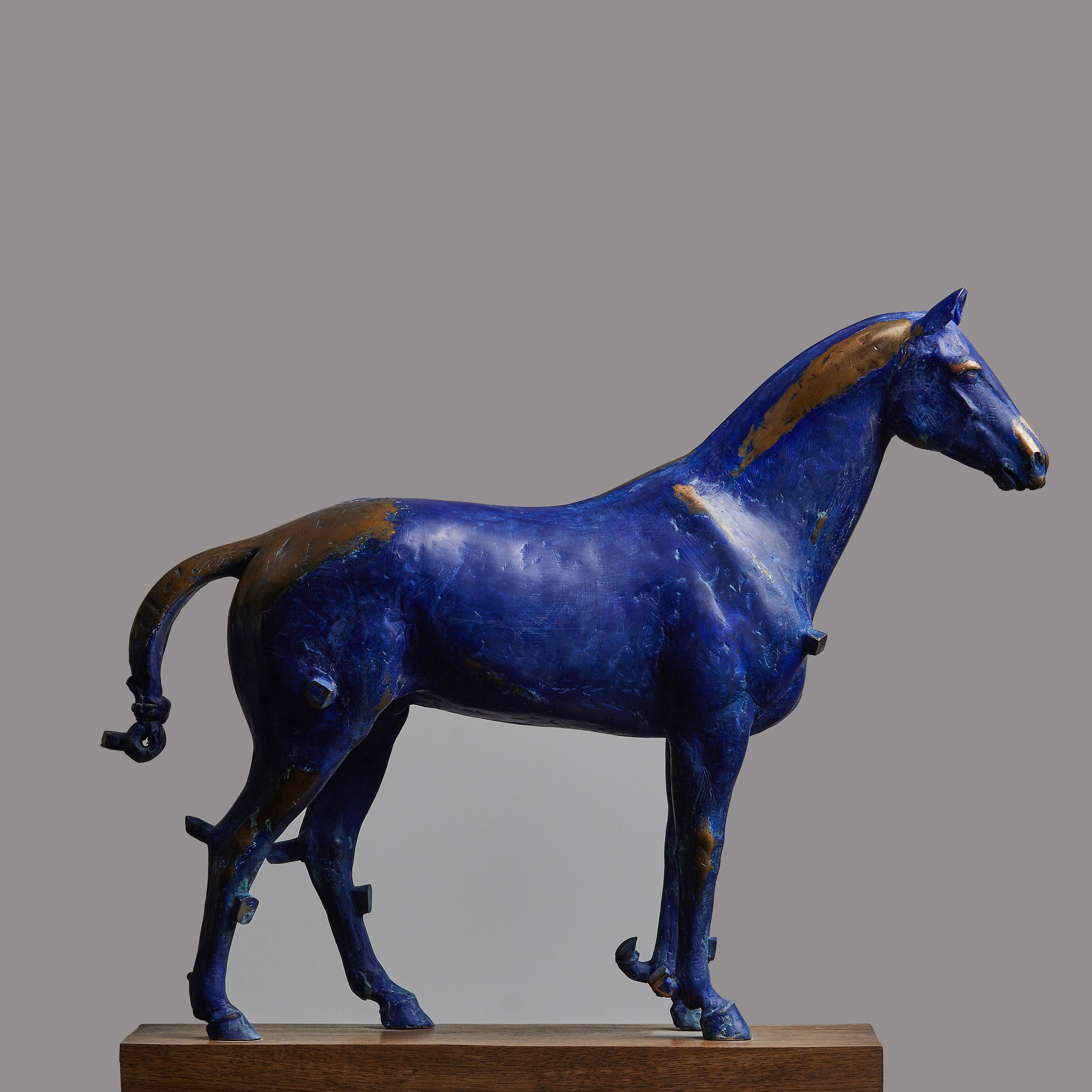 “Color Horses” Series