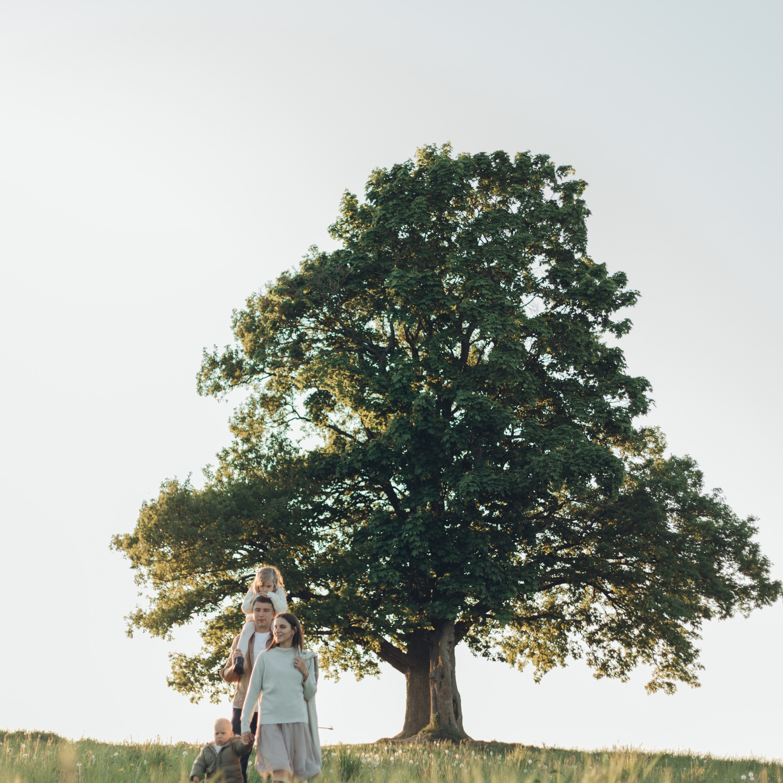 Семейное дерево