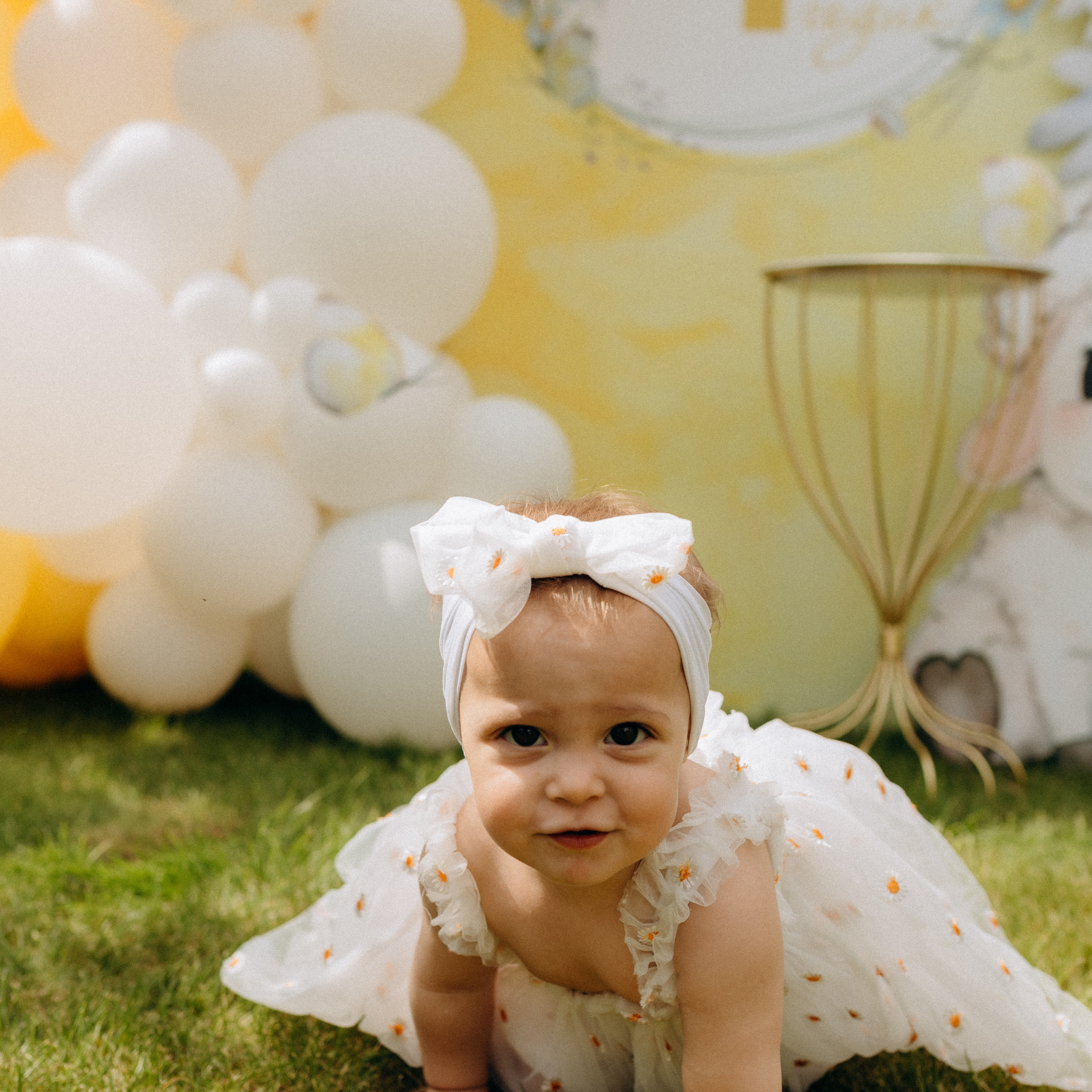 Отзывы. Ваш фотограф АНАстасия Земскова