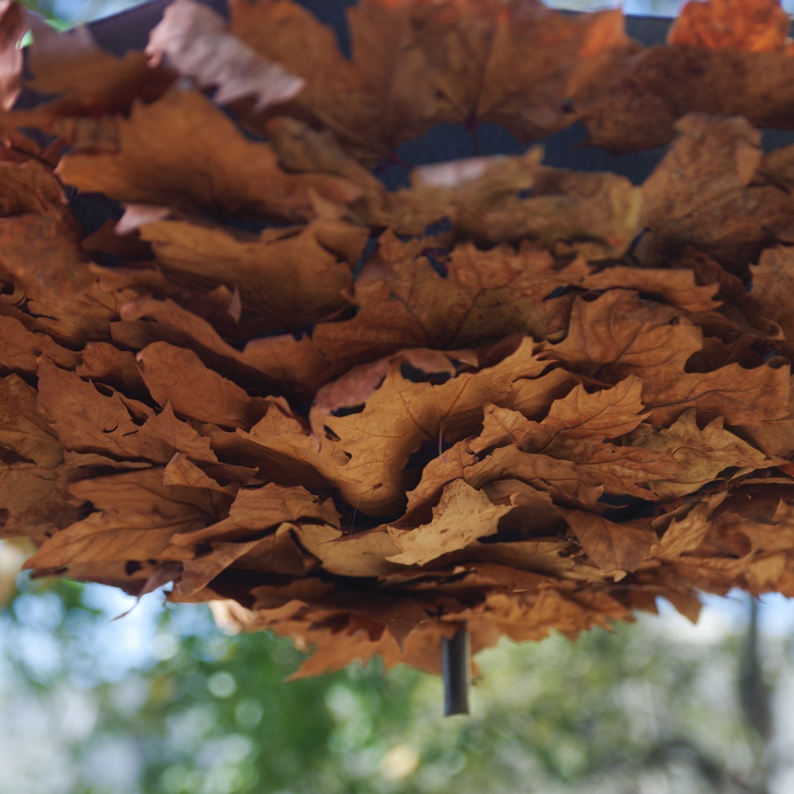 Отзывы. Портретный фотограф Денис Милютин