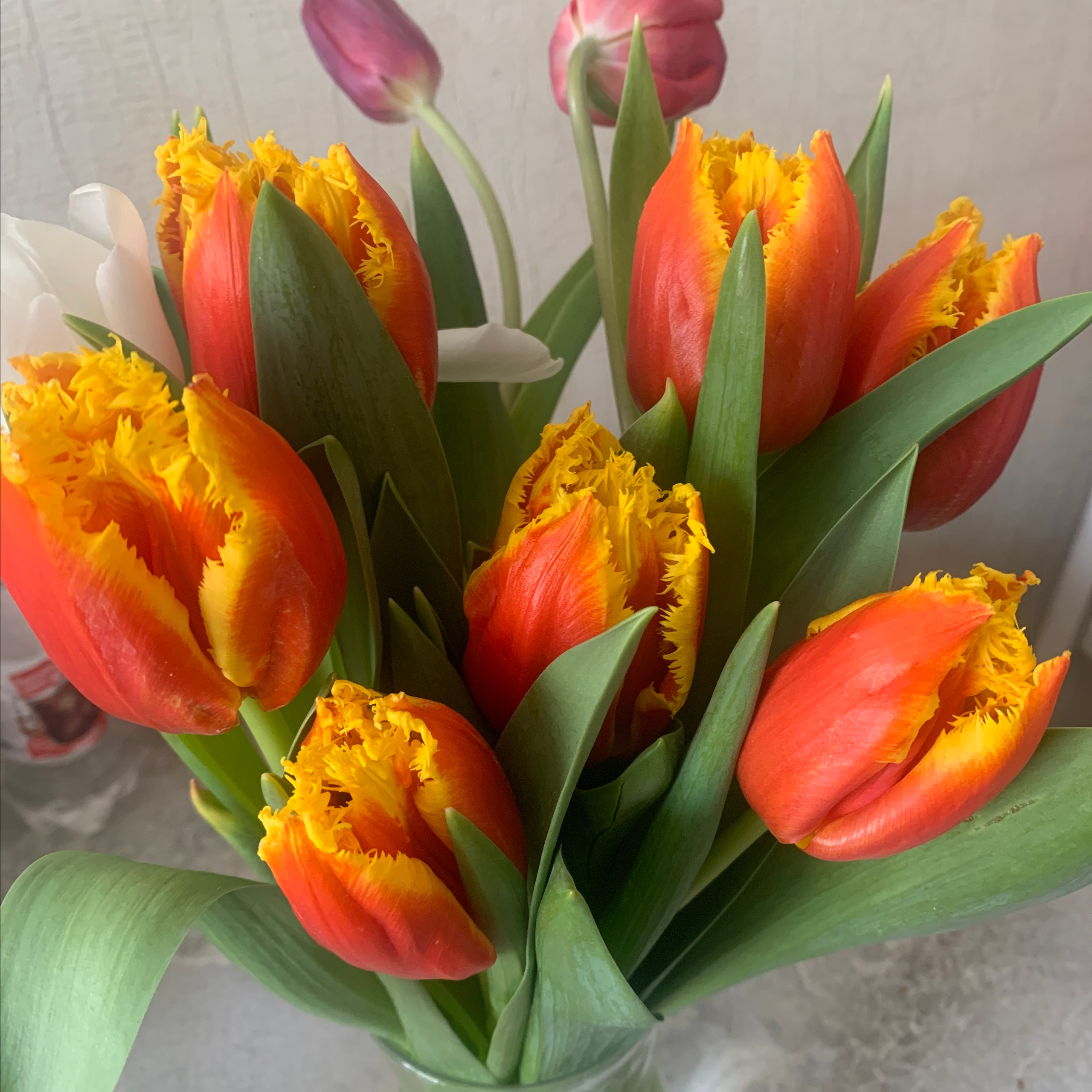 Отзывы. Семейный, детский и школьный фотограф в Димитровграде Наумова Екатерина