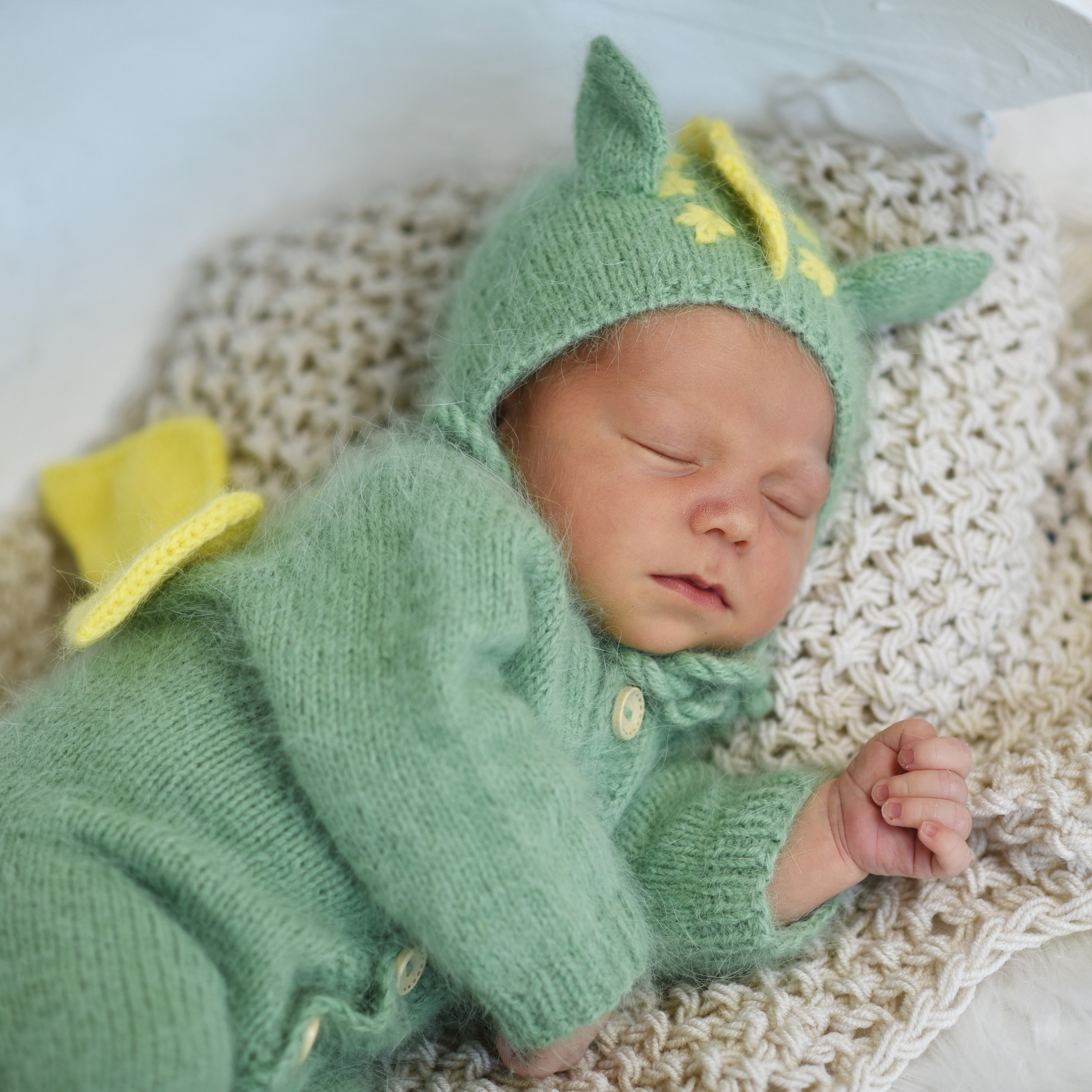 Артем-динозаврик