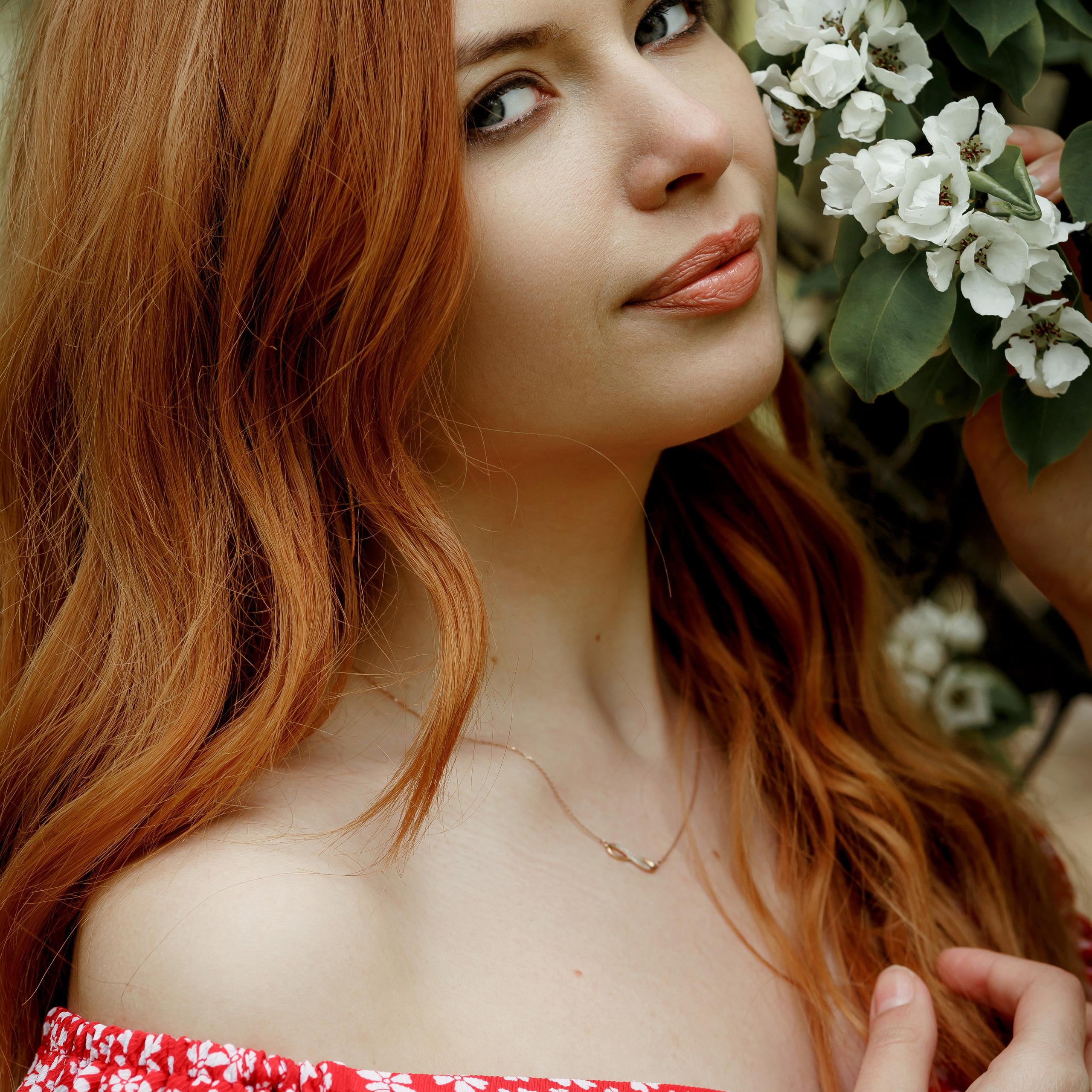 Отзывы. Свадебный фотограф Расторгуев Дмитрий