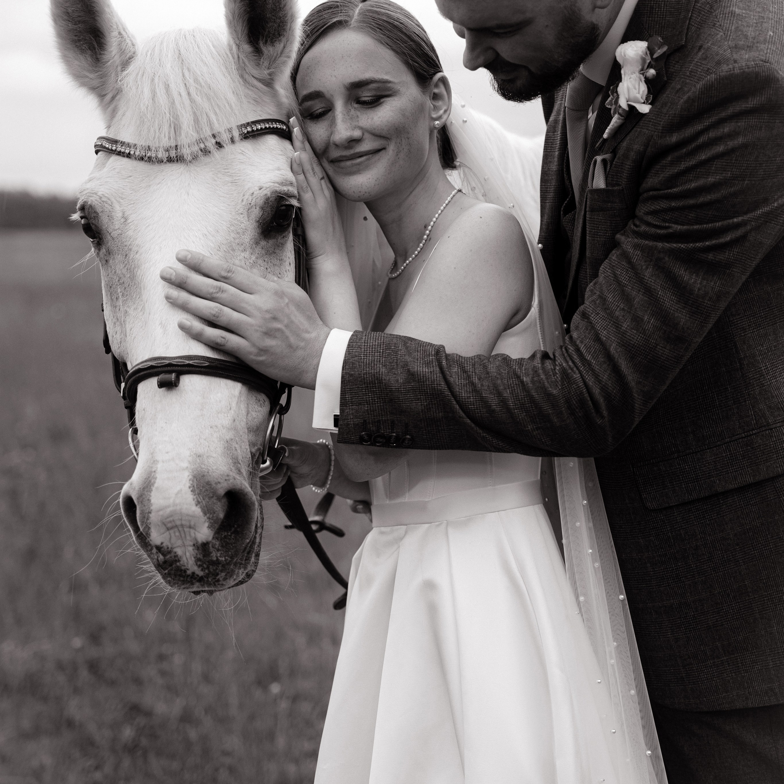 Портфолио свадебного фотографа в Москве. Фотосессия с лошадьми Москва. Фотограф на свадьбу в Москве. Свадебная фотосессия на черном фоне. Фотограф в Москве Валерия Рожкова