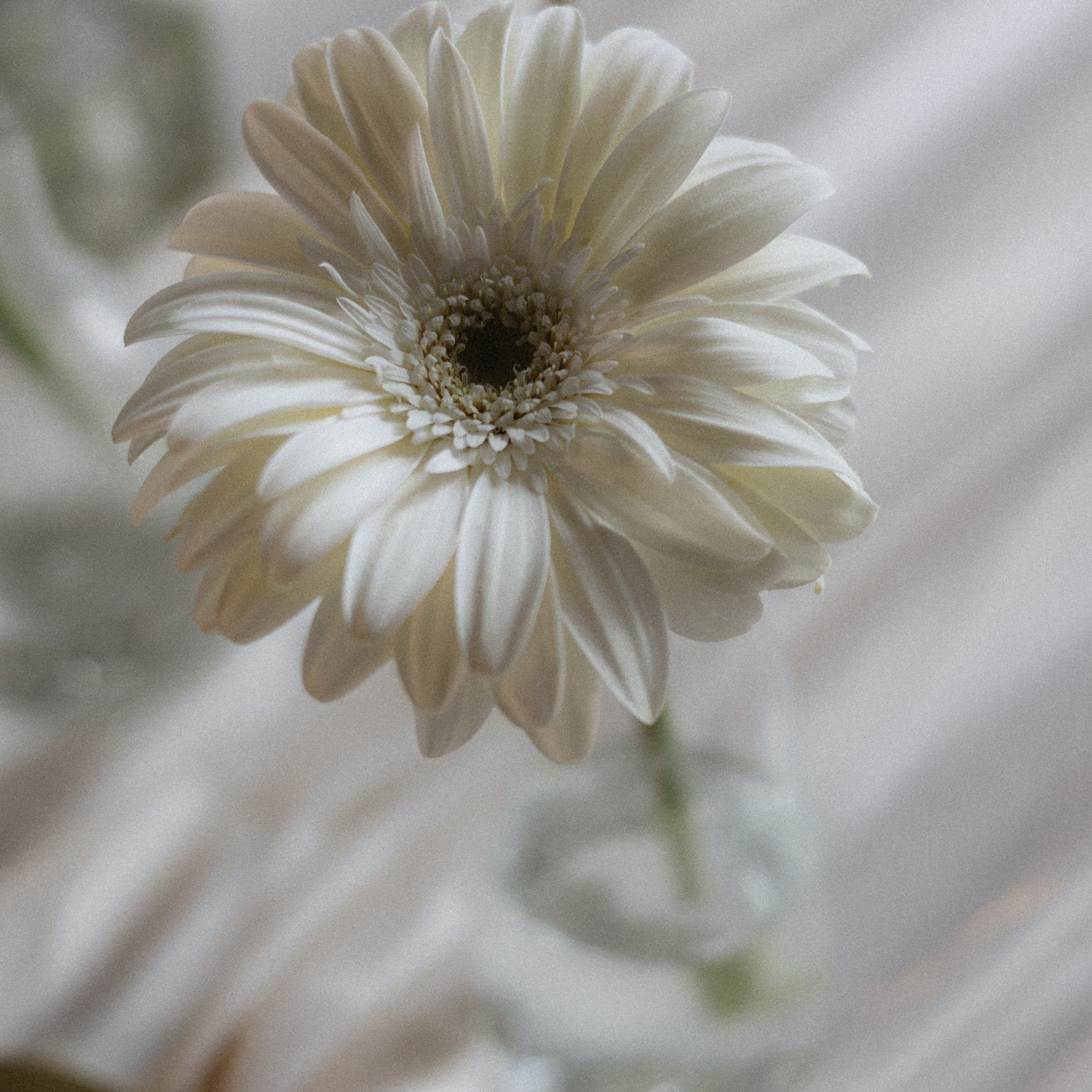 Свадебная фотосессия 21 Культ. Свадебный фотограф в Москве. свадебная фотосессия Москва. Фотограф в Москве Валерия Рожкова