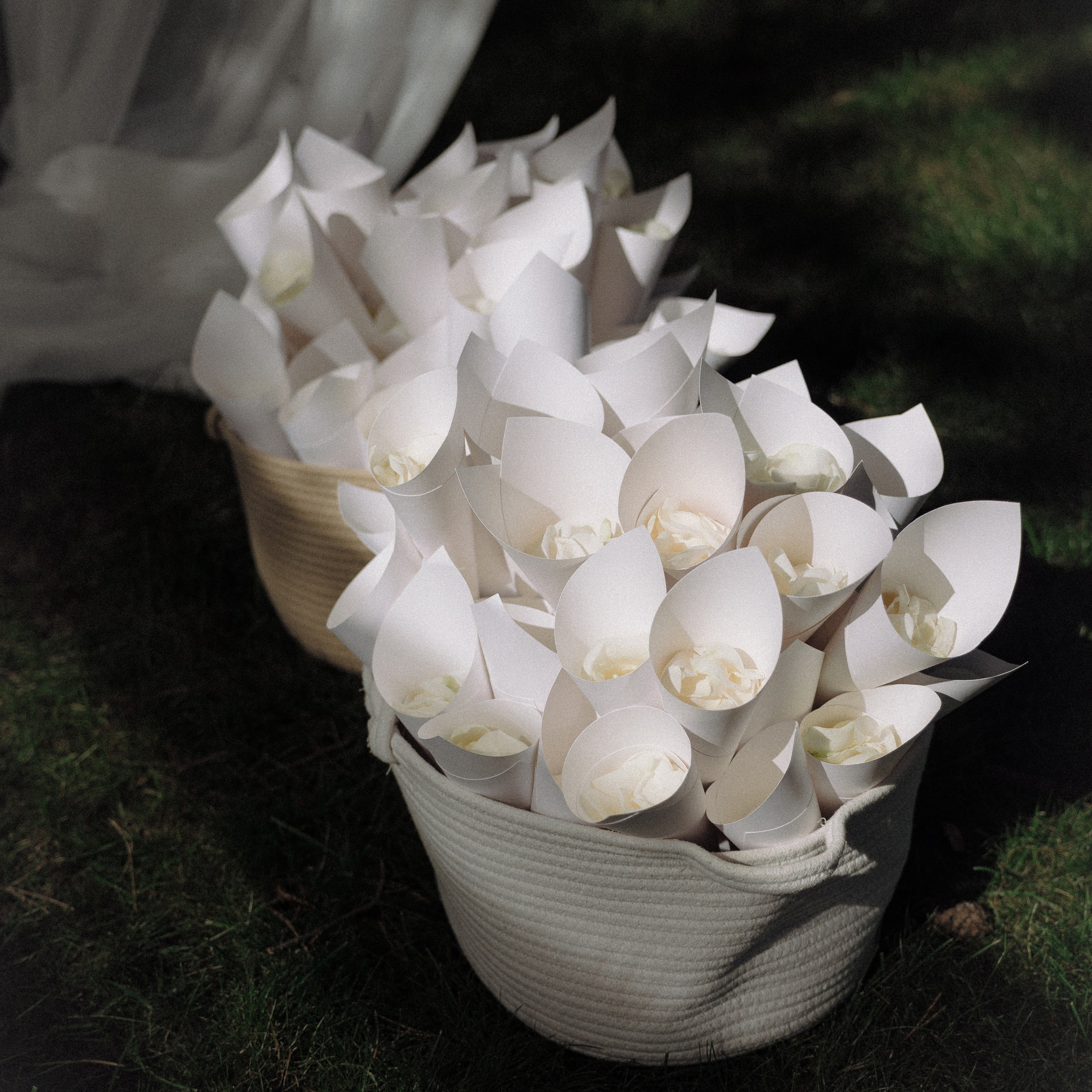 Никита & Ника. Фотограф в Москве Валерия Рожкова