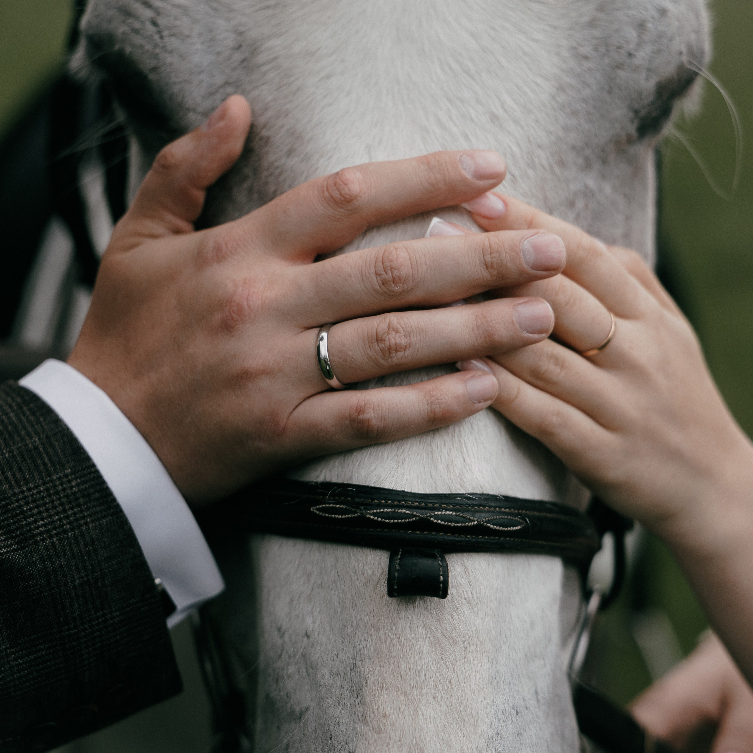 Портфолио свадебного фотографа в Москве. Фотосессия с лошадьми Москва. Фотограф на свадьбу в Москве. Свадебная фотосессия на черном фоне. Фотограф в Москве Валерия Рожкова