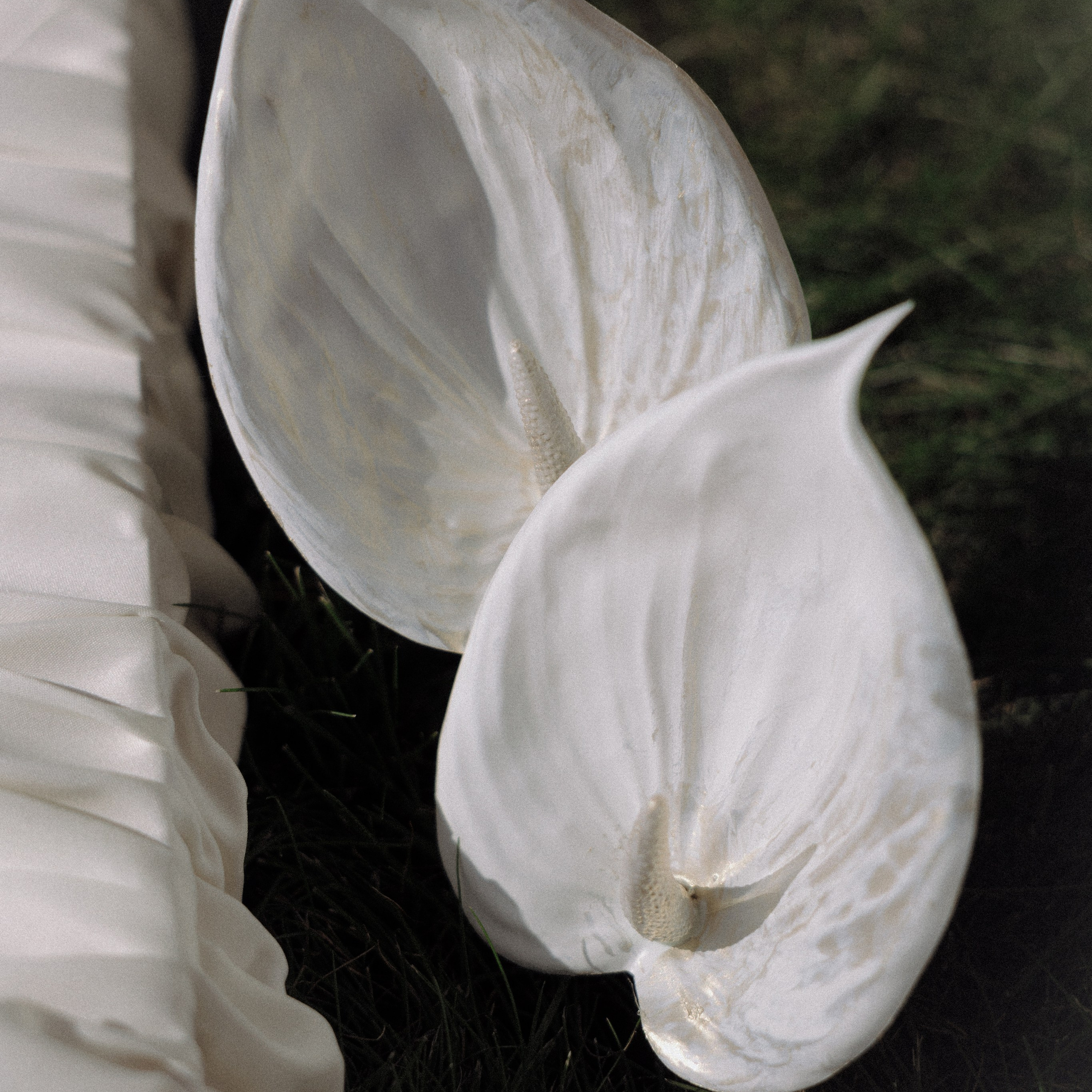 Никита & Ника. Фотограф в Москве Валерия Рожкова