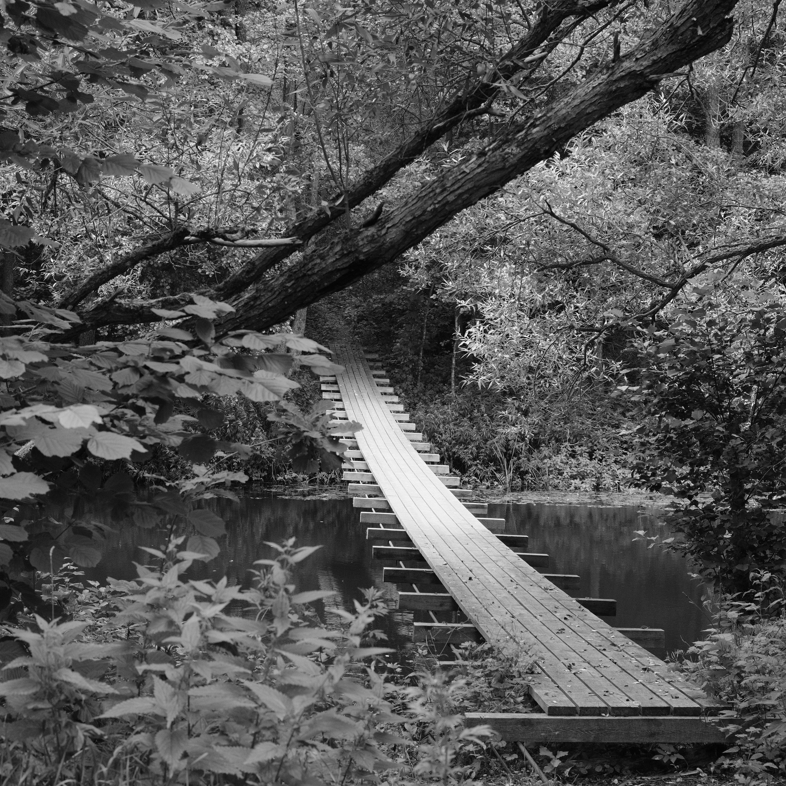 Творчество