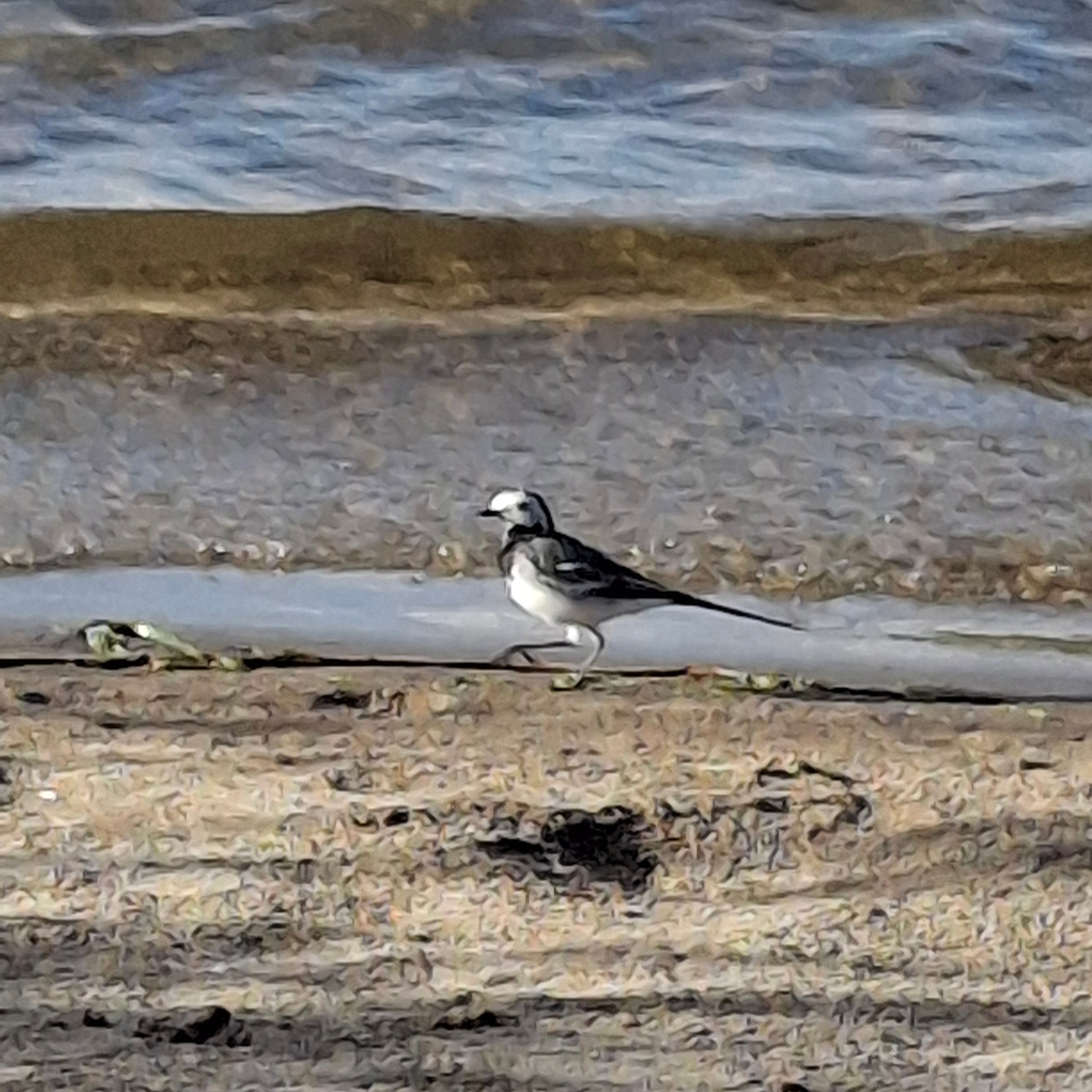 Отзывы. Выпускные альбомы. Школьный фотограф в Волгограде