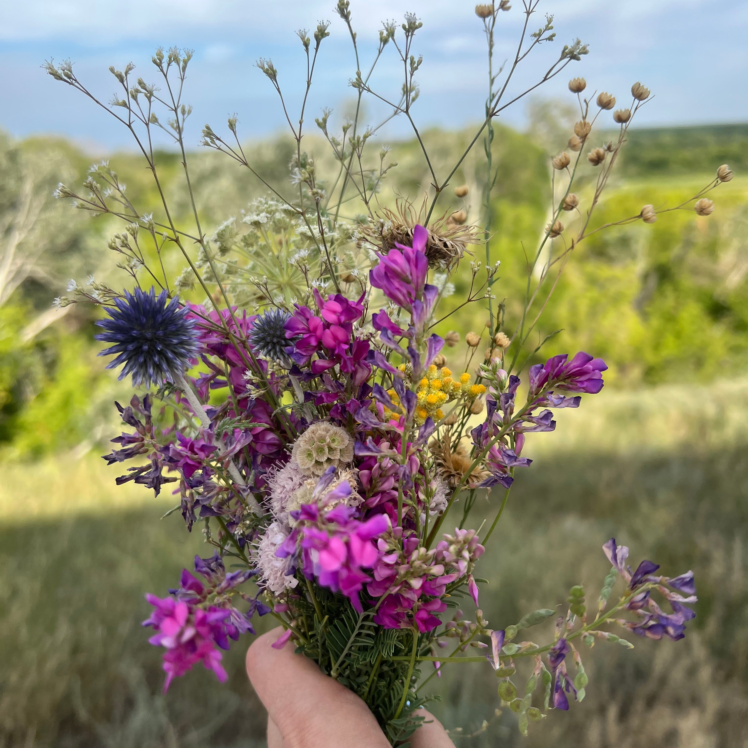 Отзывы. Выпускные альбомы. Школьный фотограф в Волгограде