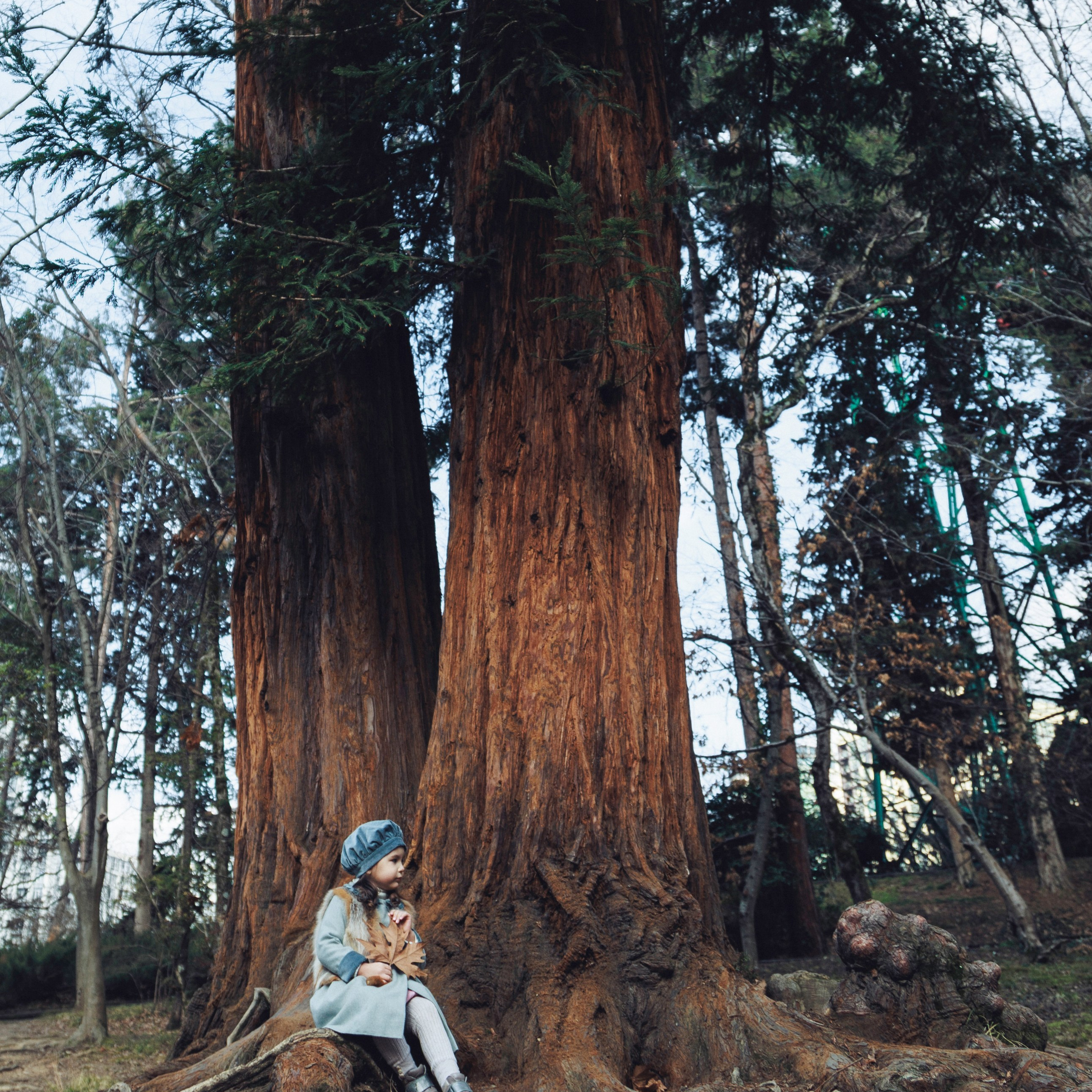 Творческая съемка. Девочка в лесу.