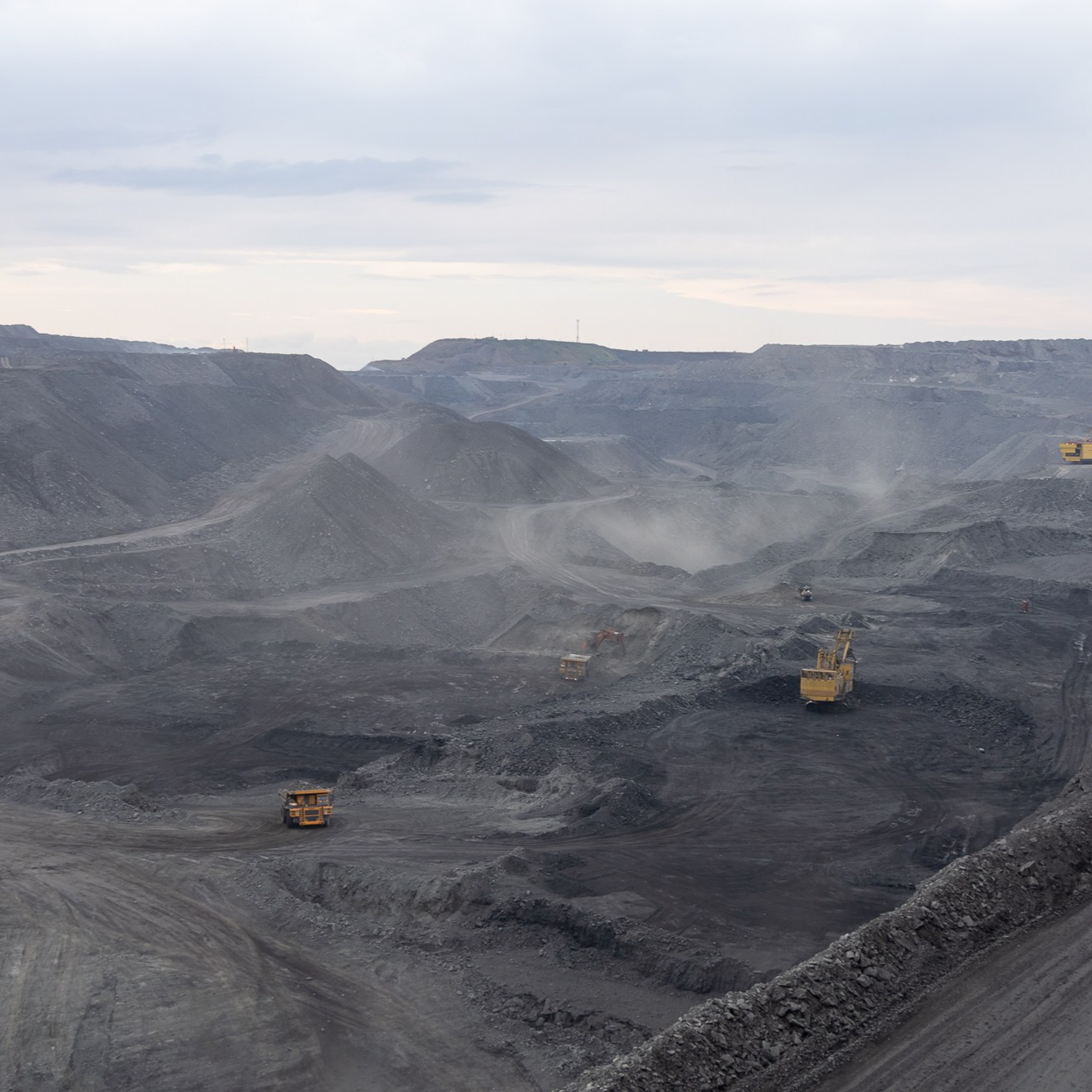 Отзывы. Семейный фотограф в Абакане Любовь Халявина