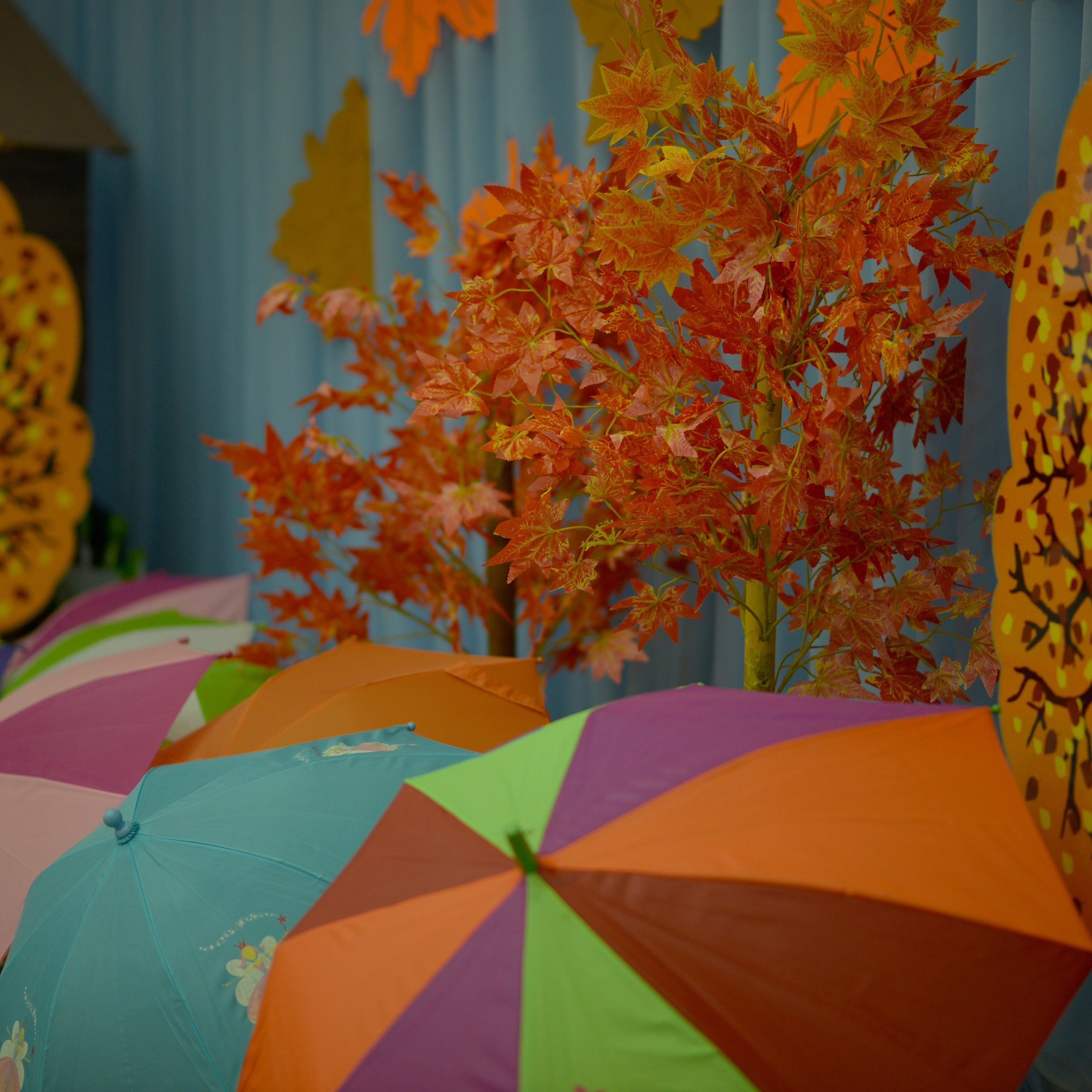 Отзывы. Семейный и детский фотограф в Санкт-Петербурге Баландина Татьяна