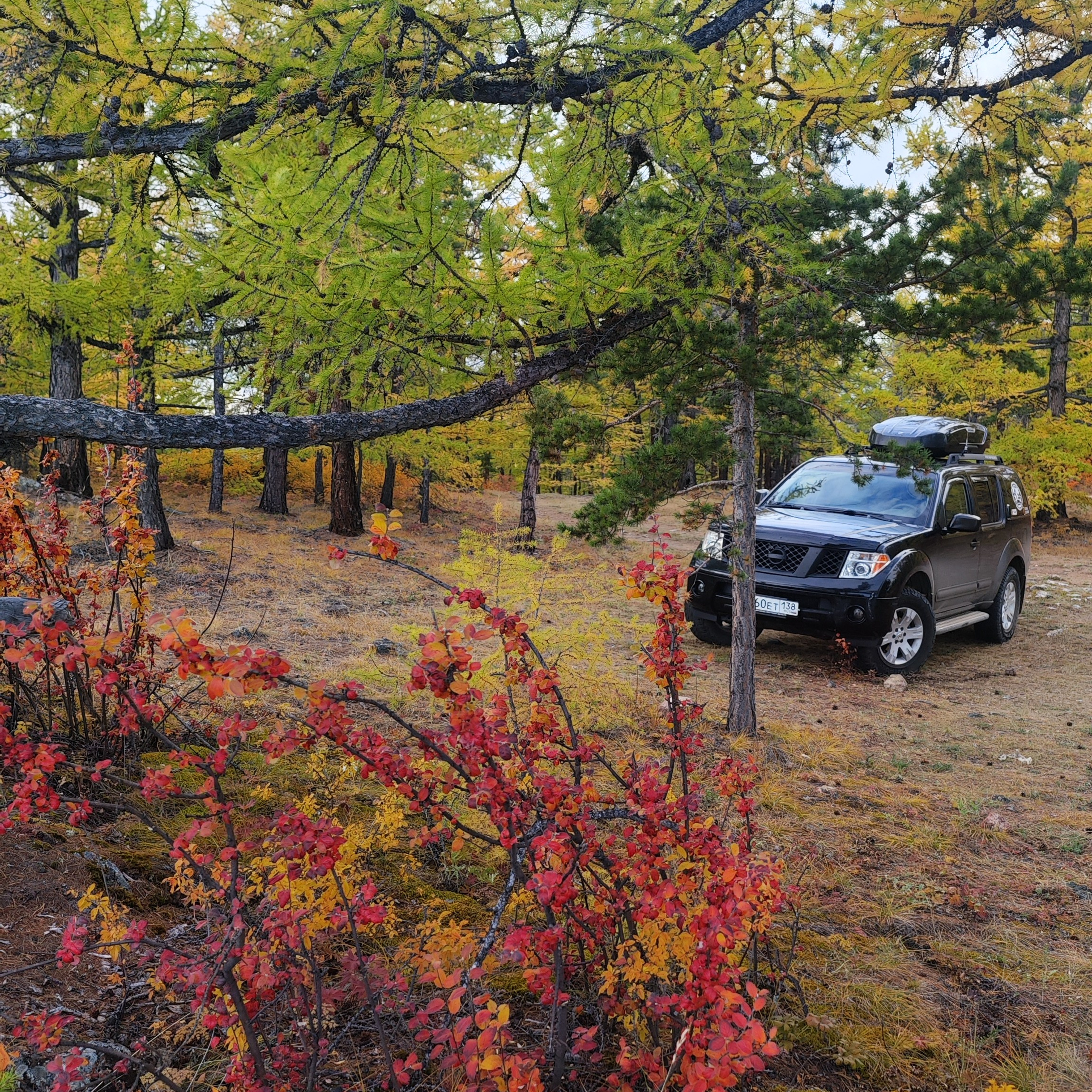 Отзывы. Илья Буянов, гид по Байкалу, фотограф — baikalsky.com