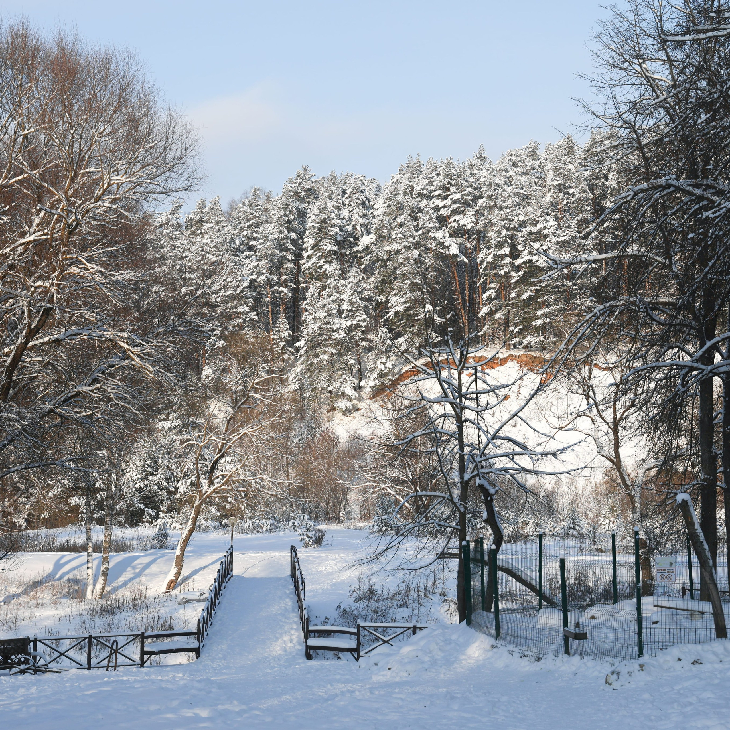 Рождествено Зима 2026