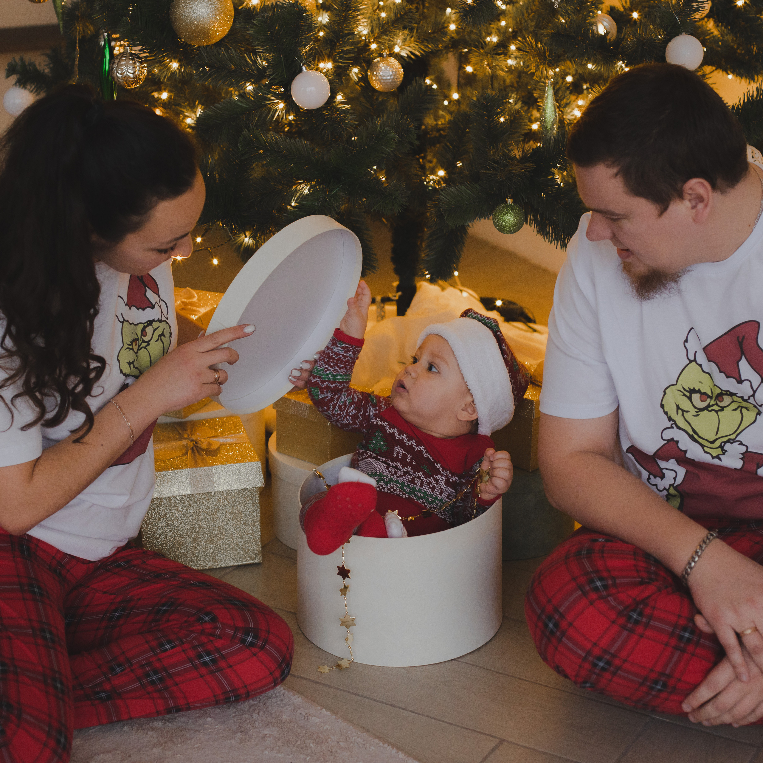 Ивановы и&nbsp;маленький гном