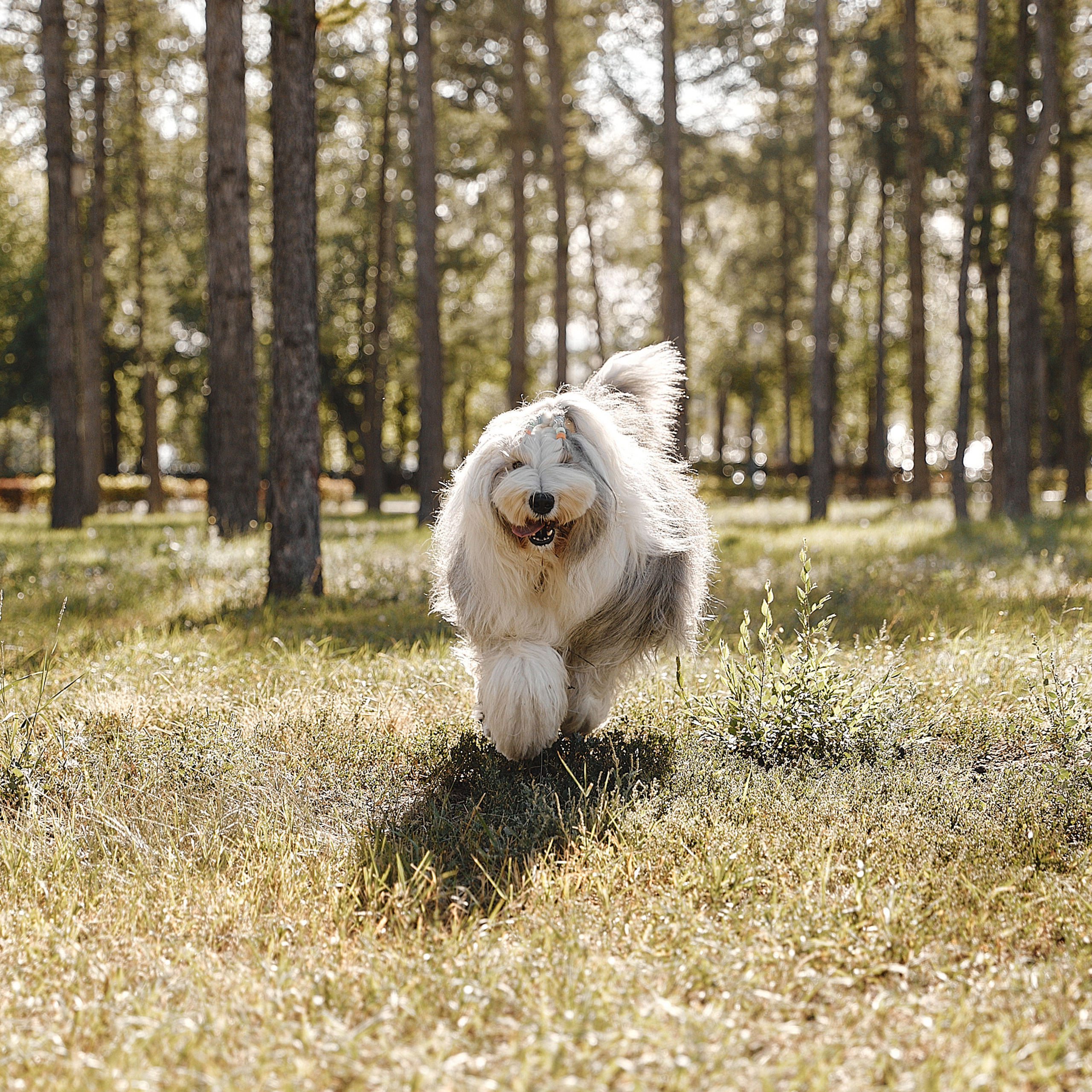 Отзывы. Свадебный и семейный фотограф в Магнитогорске Женя Иванова