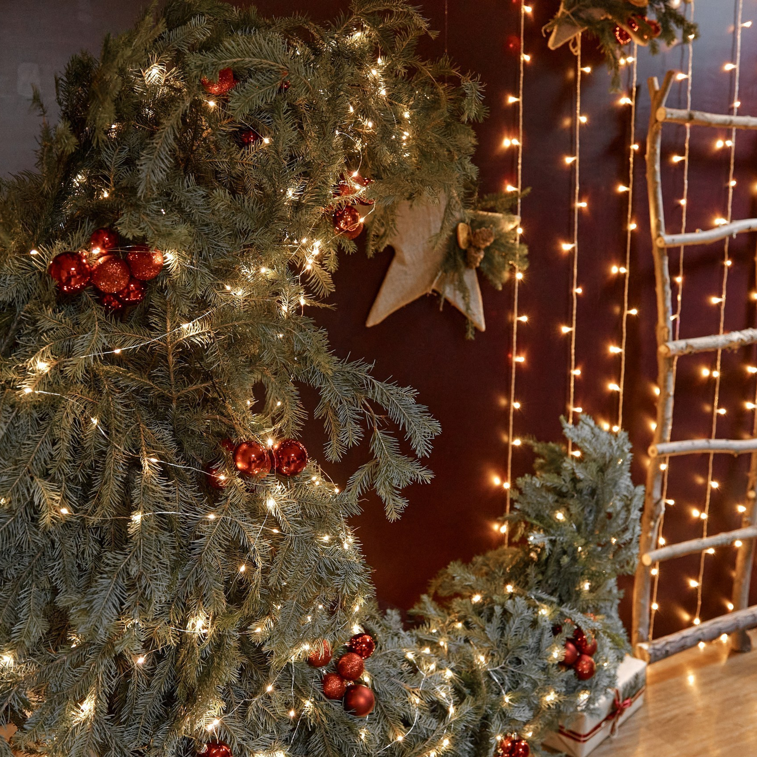 Отзывы. Свадебный и семейный фотограф в Магнитогорске Женя Иванова