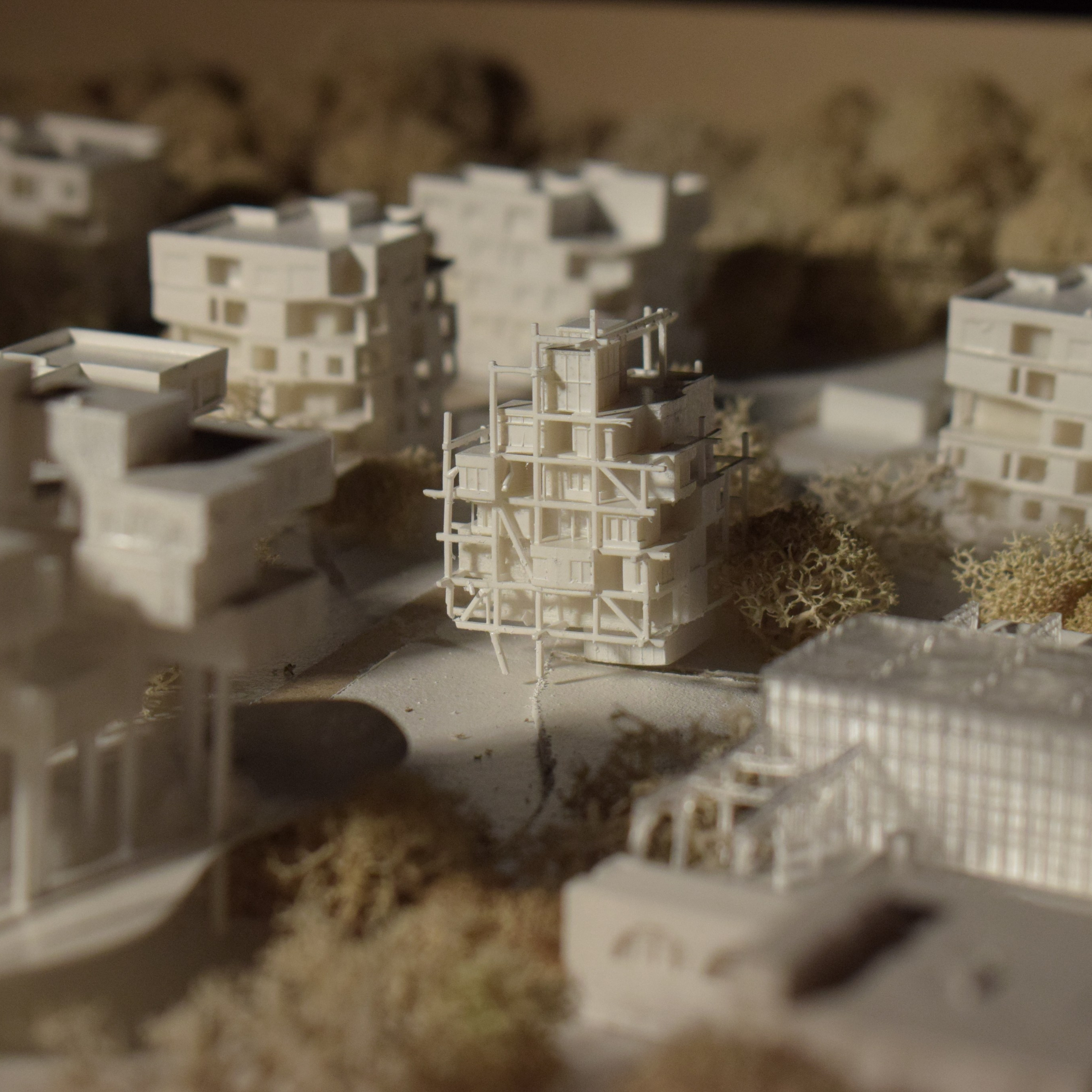 Курсовой макет поселка для студентов МАРХИ часть3