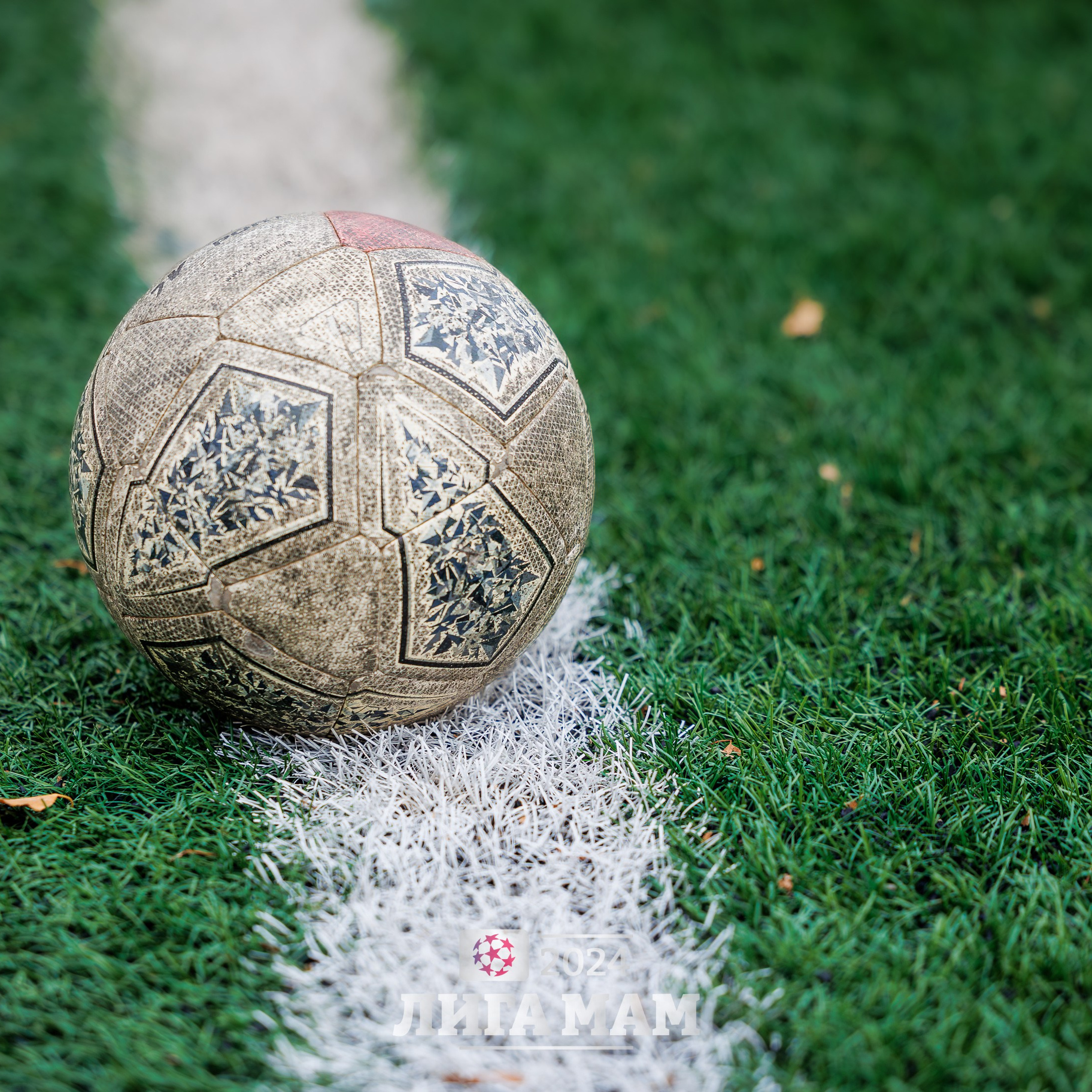 Кейсы клиентов. Репортажный фотограф в Барнауле Владимир Игнатов