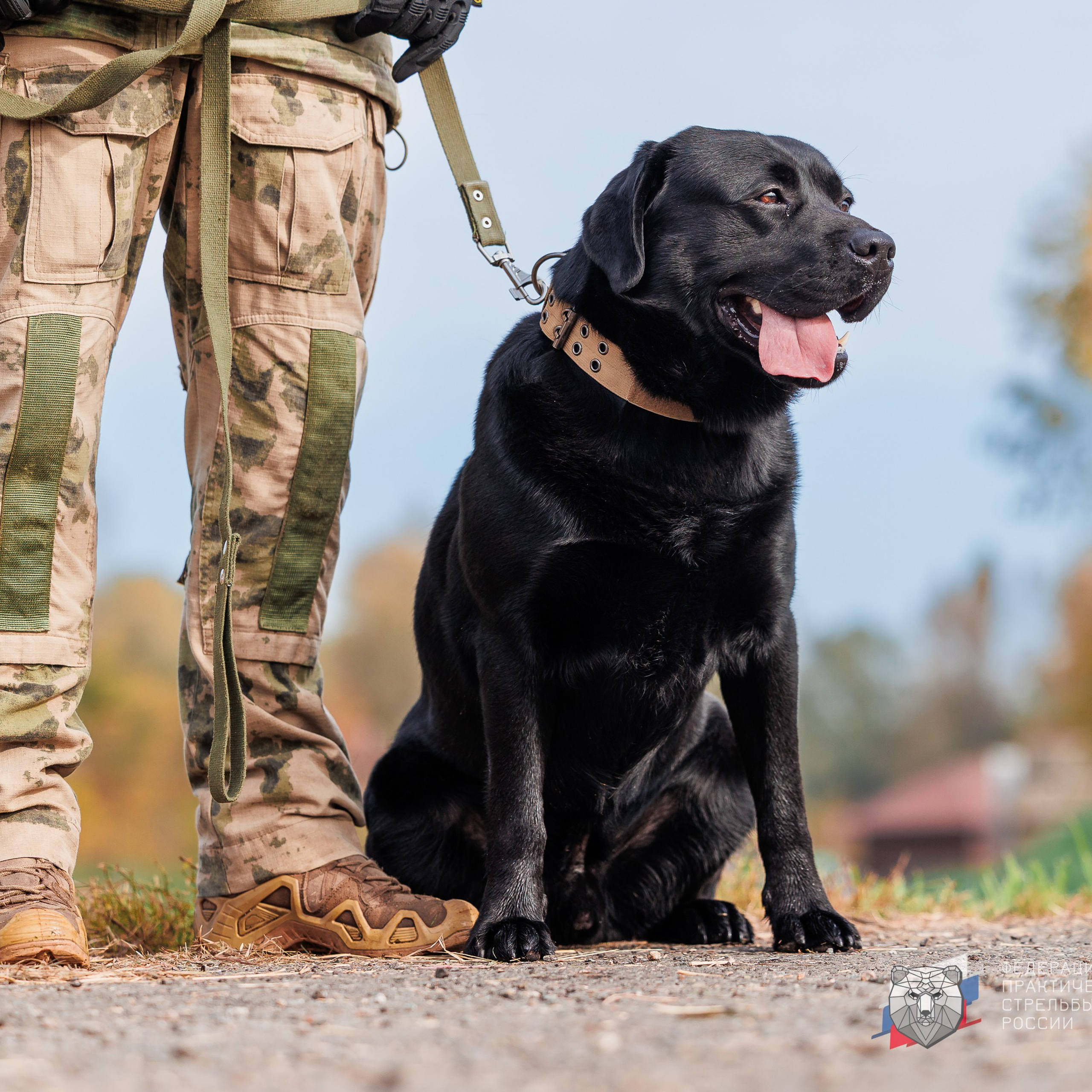 Кейсы клиентов. Репортажный фотограф в Барнауле Владимир Игнатов