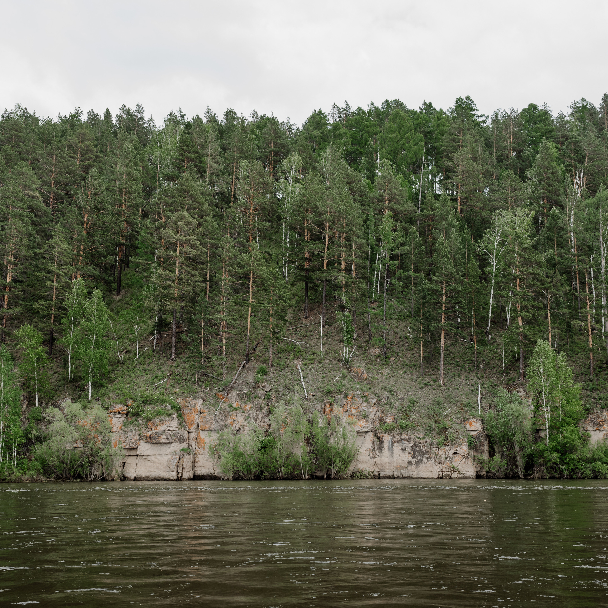 Отзывы. Репортажный фотограф Анна Диденко
