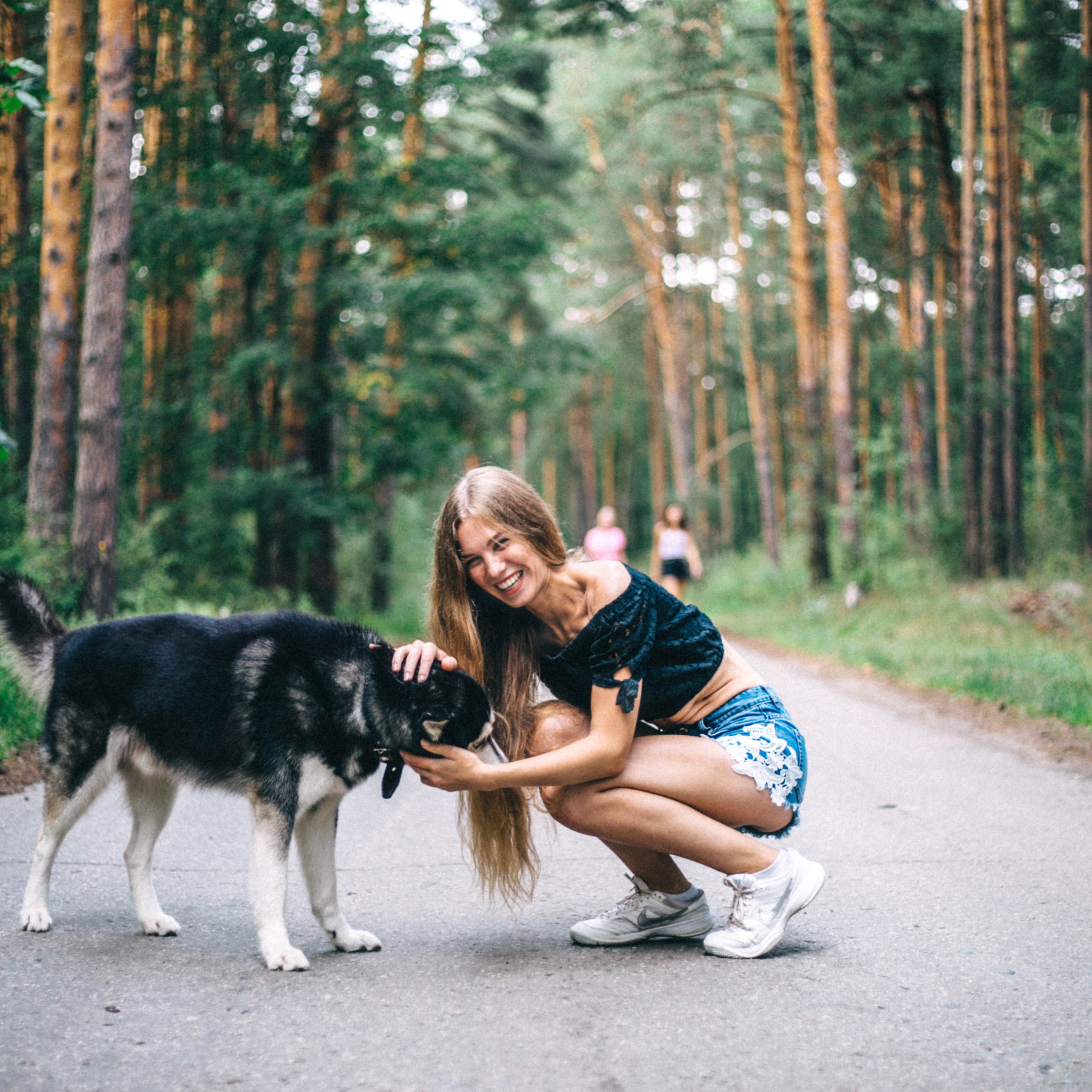 Случайно встретили Хаски