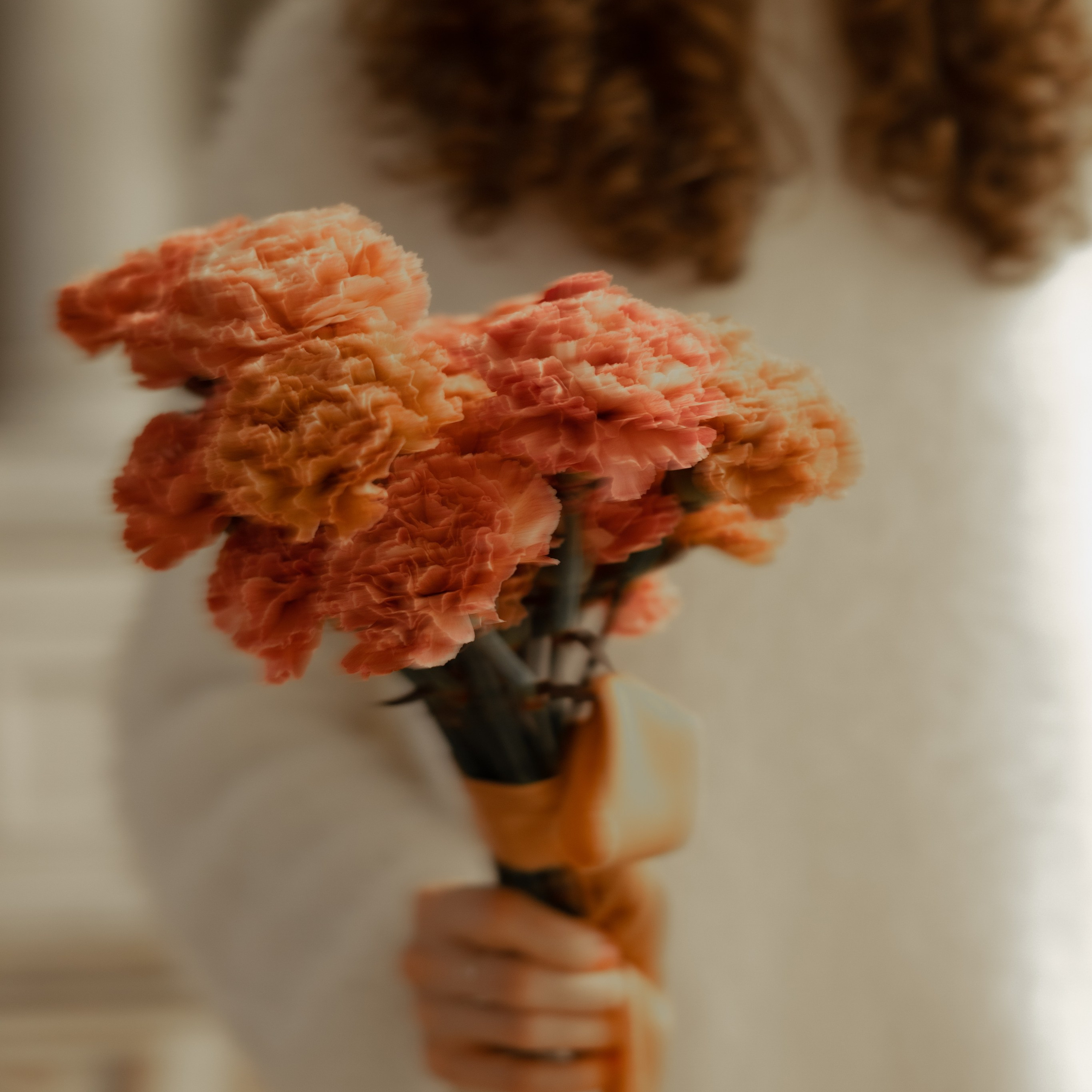 София и Матвей. Wedding Story