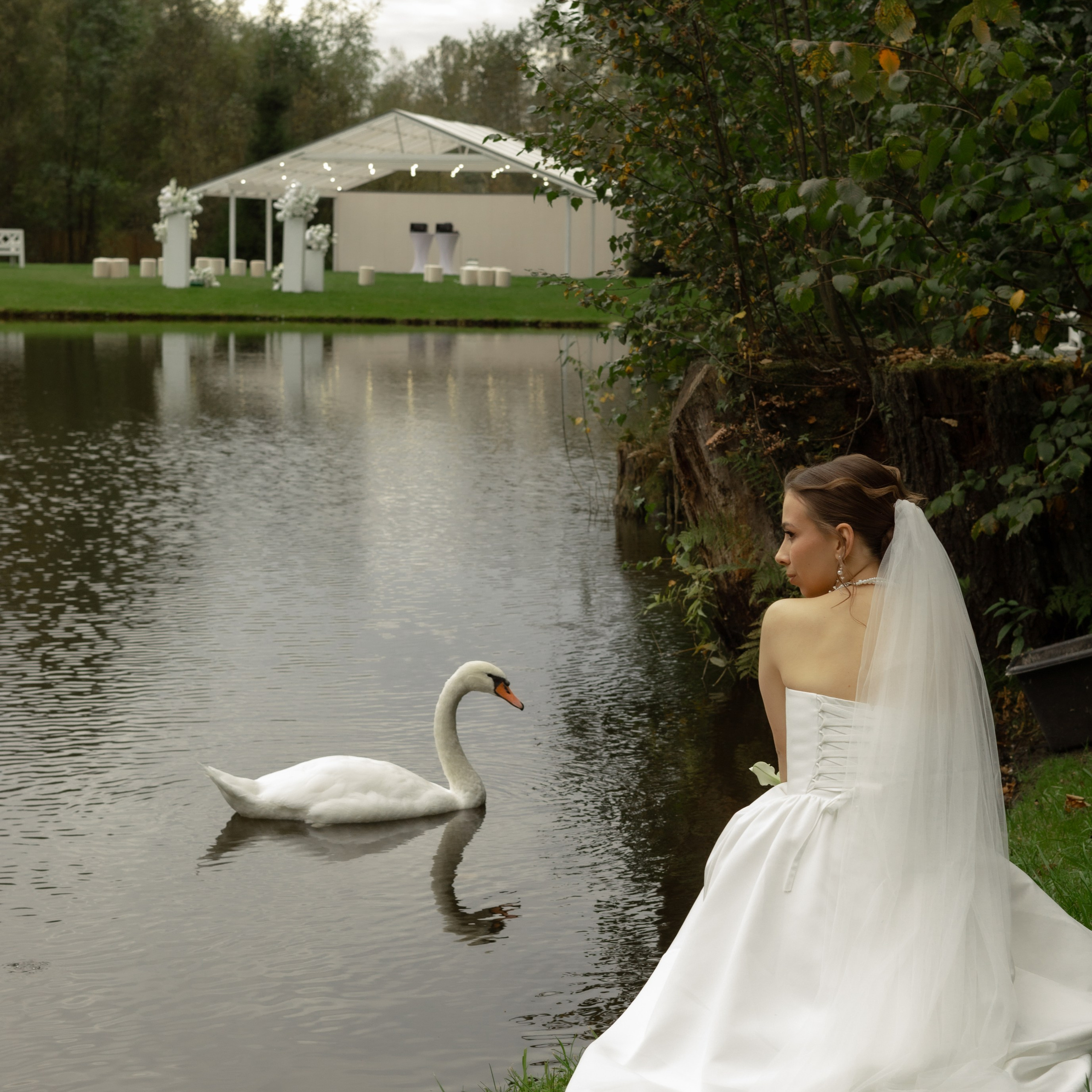 Алина и Дима. Wedding Story