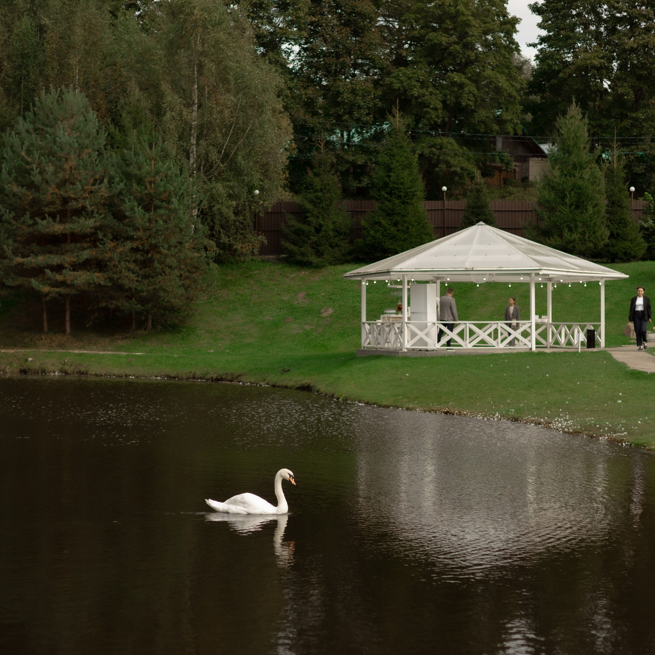 Алина и Дима. Wedding Story