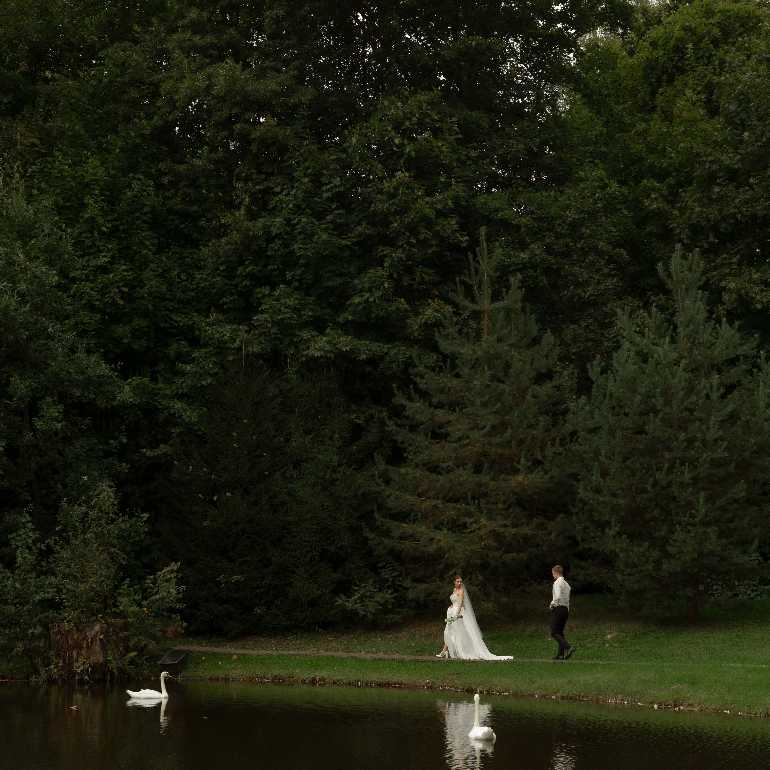 Алина и Дима. Wedding Story