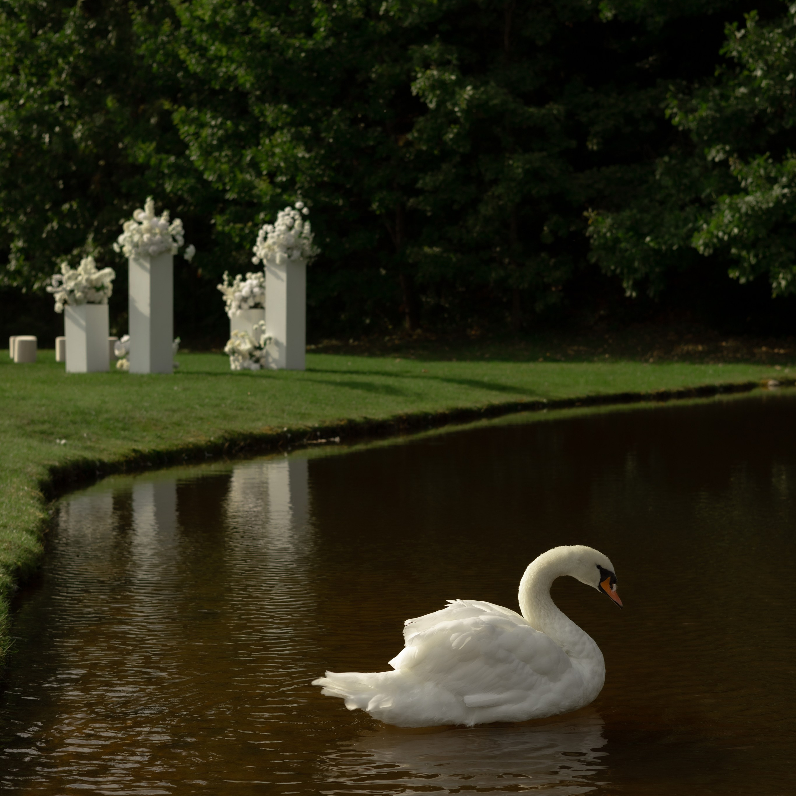 Алина и Дима. Wedding Story