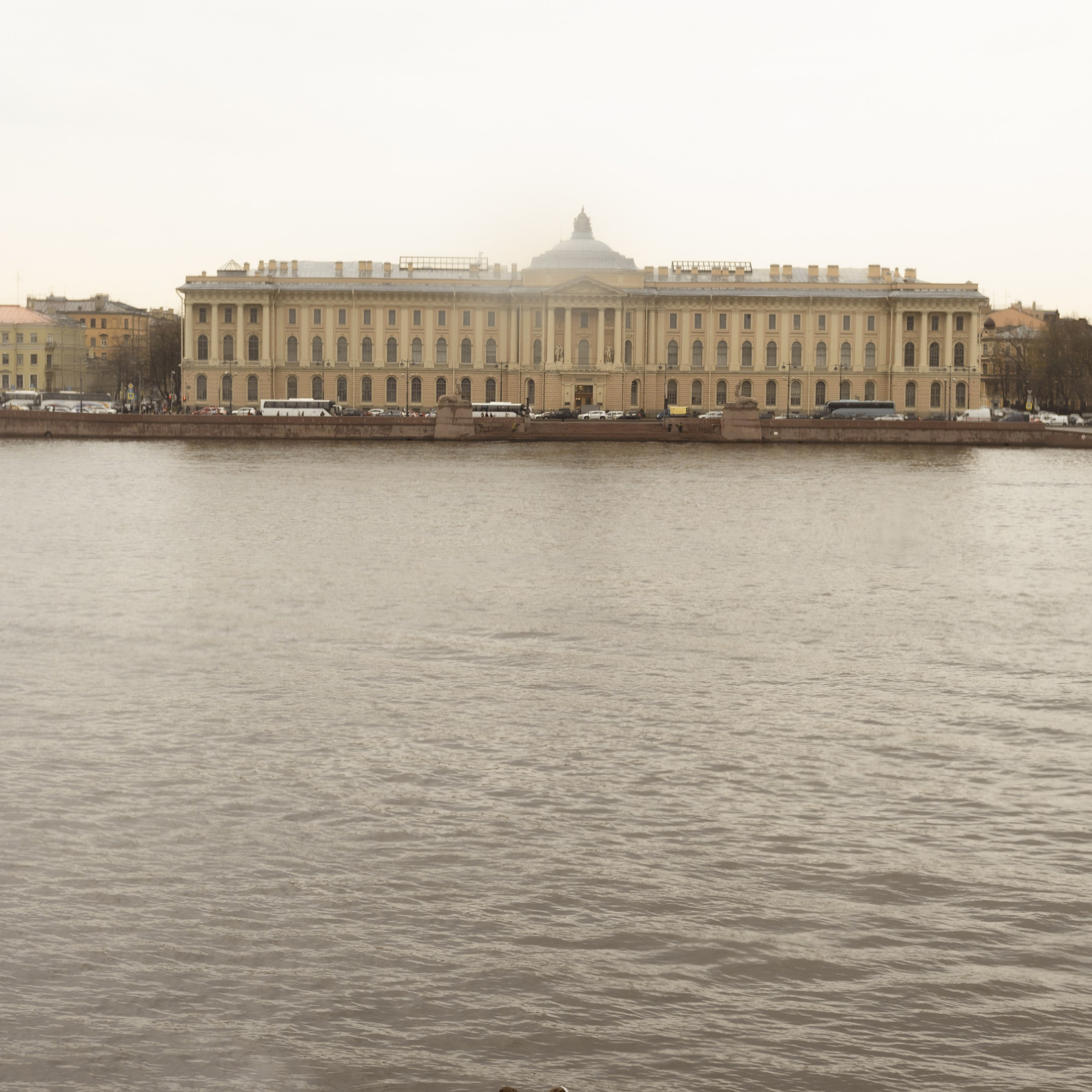 София и Матвей. Wedding Story