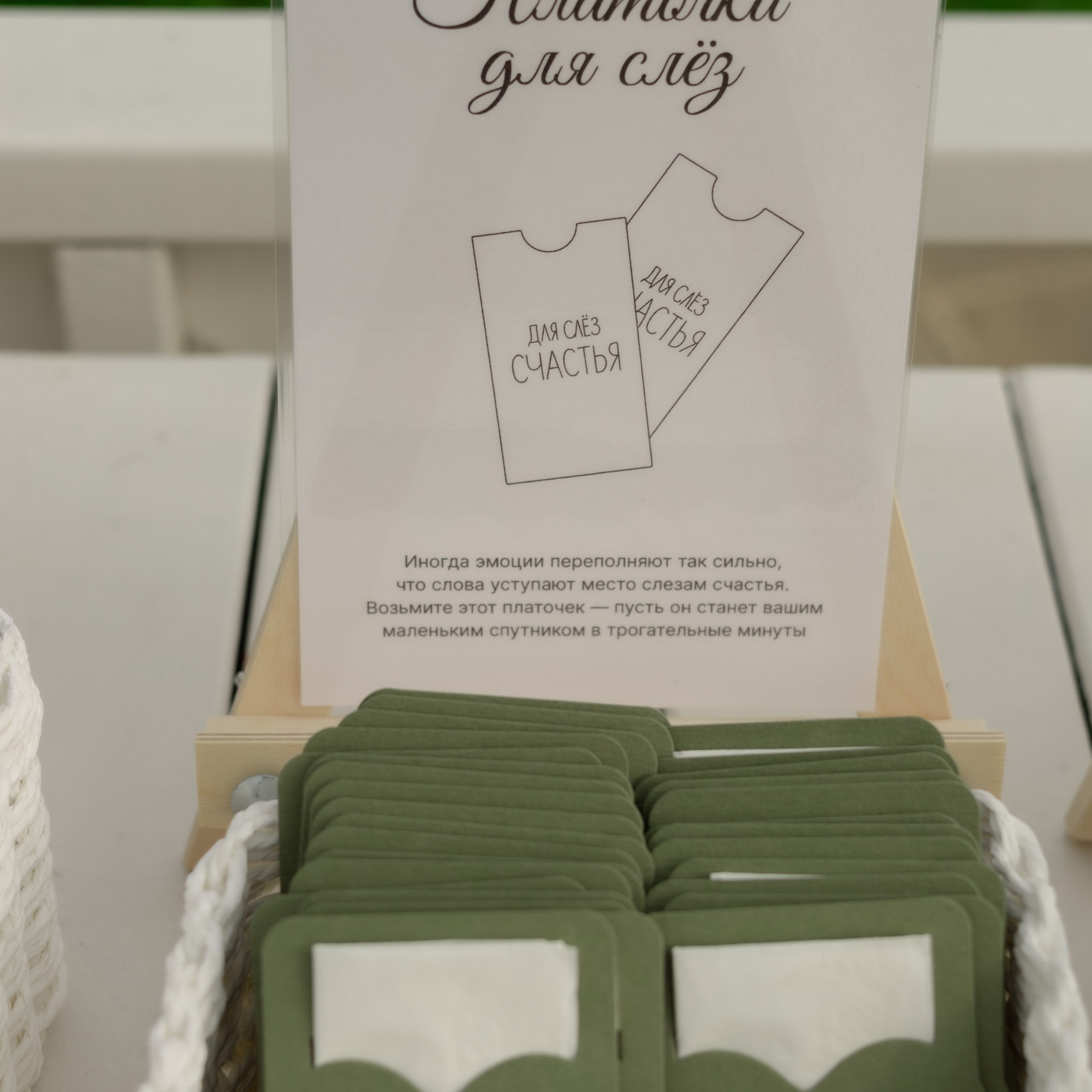 Алина и Дима. Wedding Story