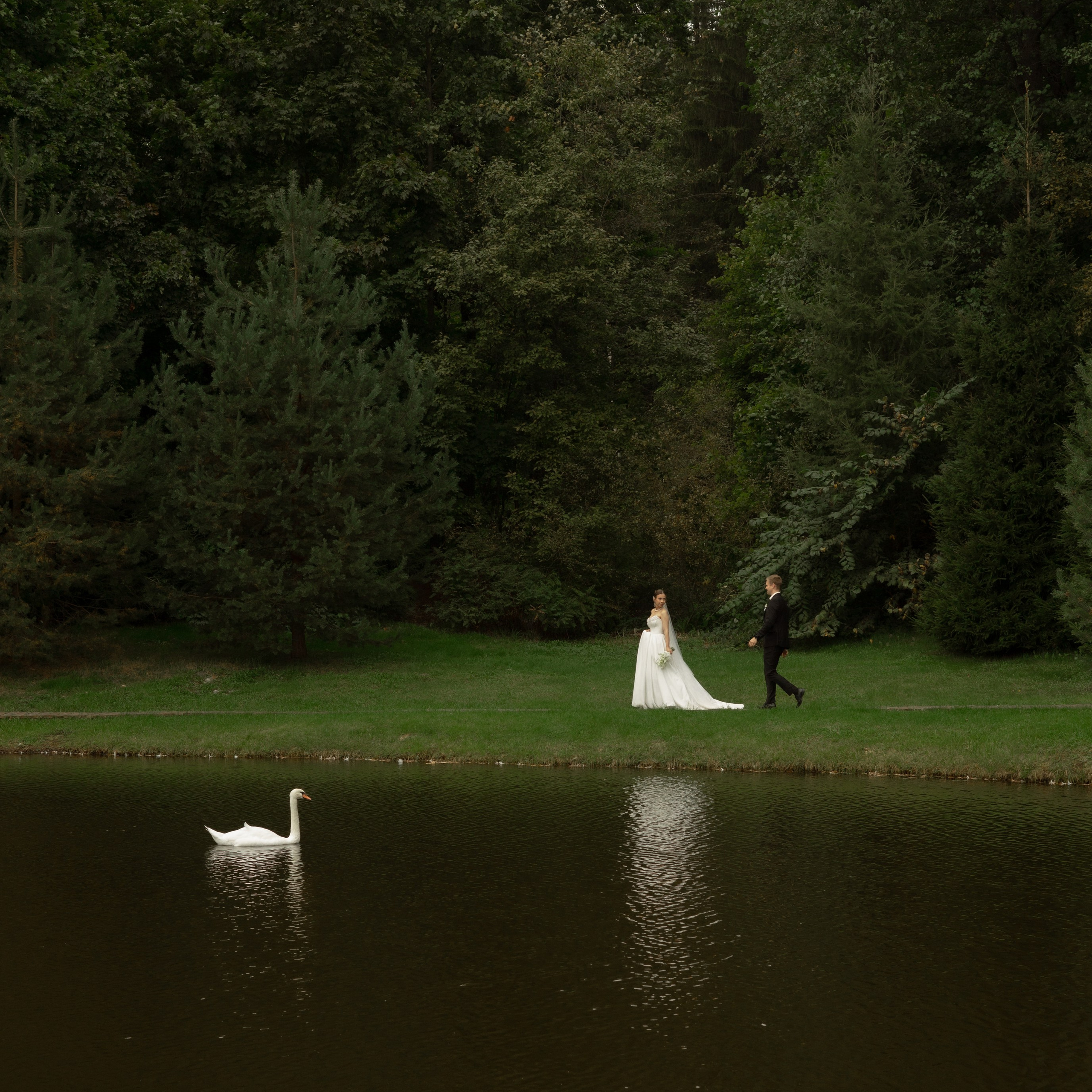 Алина и Дима. Wedding Story