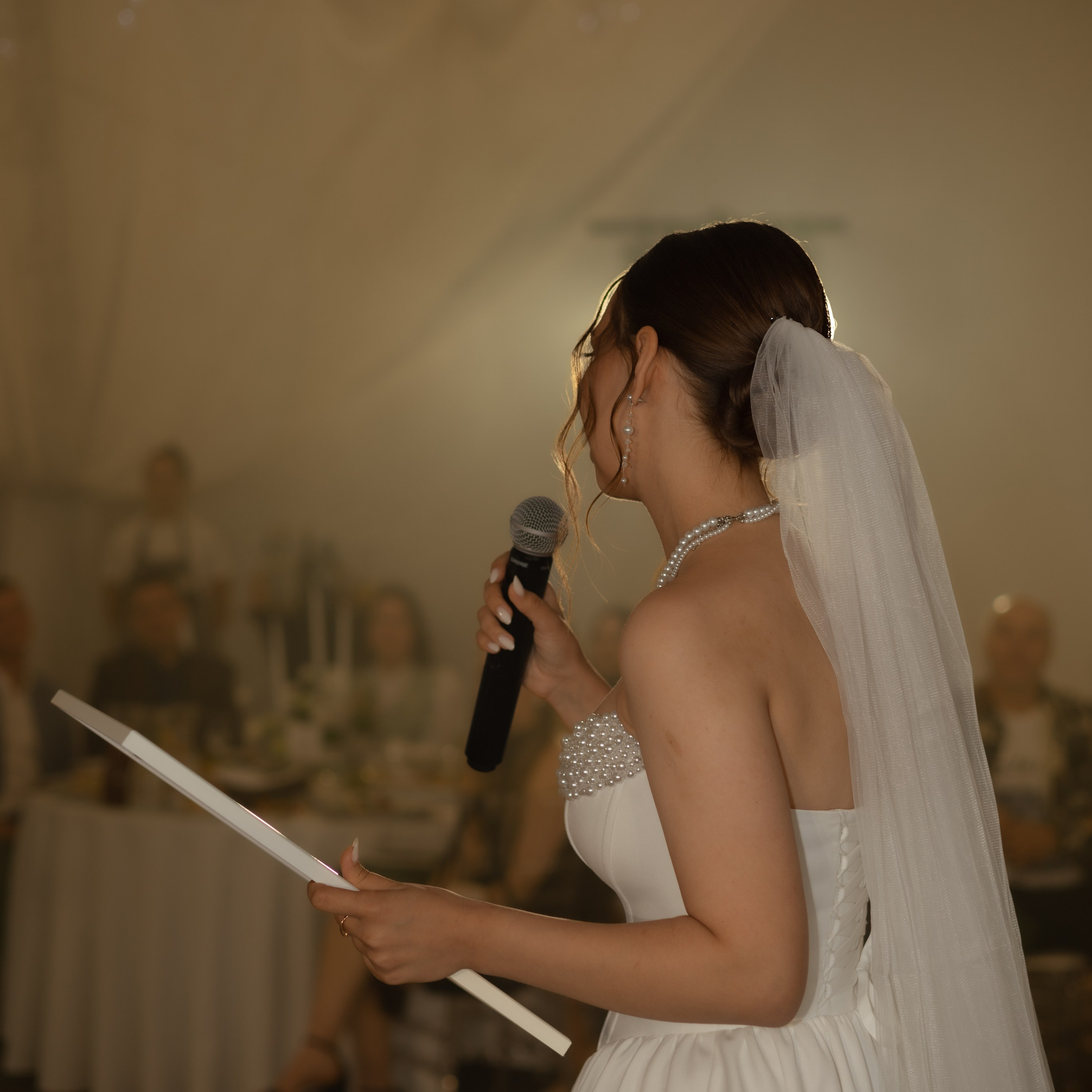 Алина и Дима. Wedding Story