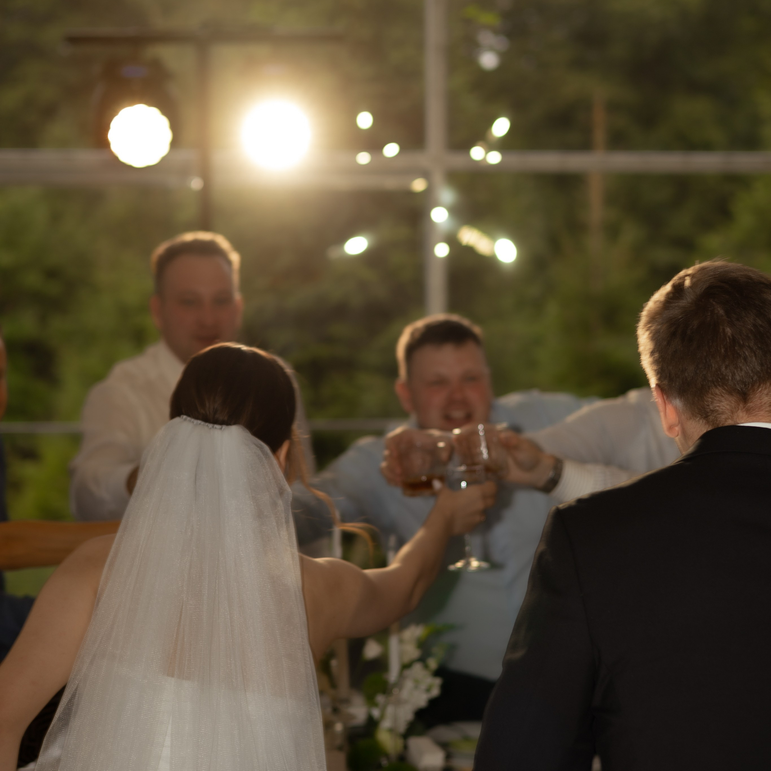 Алина и Дима. Wedding Story