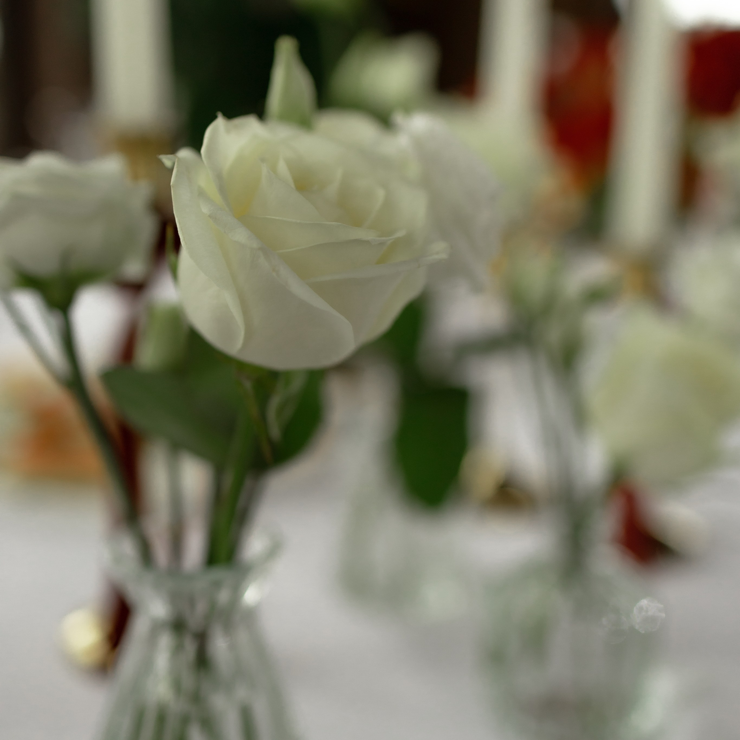 Лера и Саша. Wedding Story