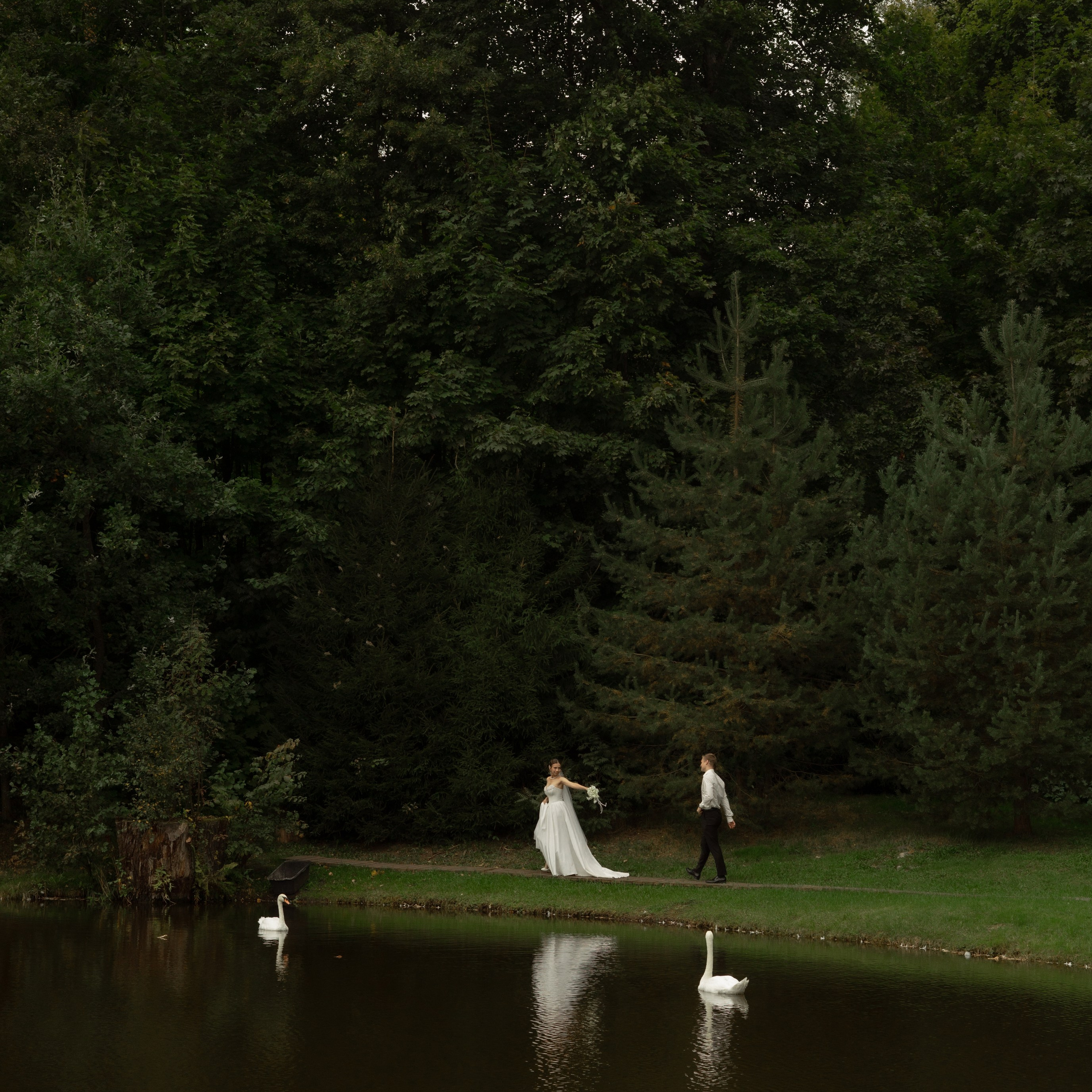 Алина и Дима. Wedding Story