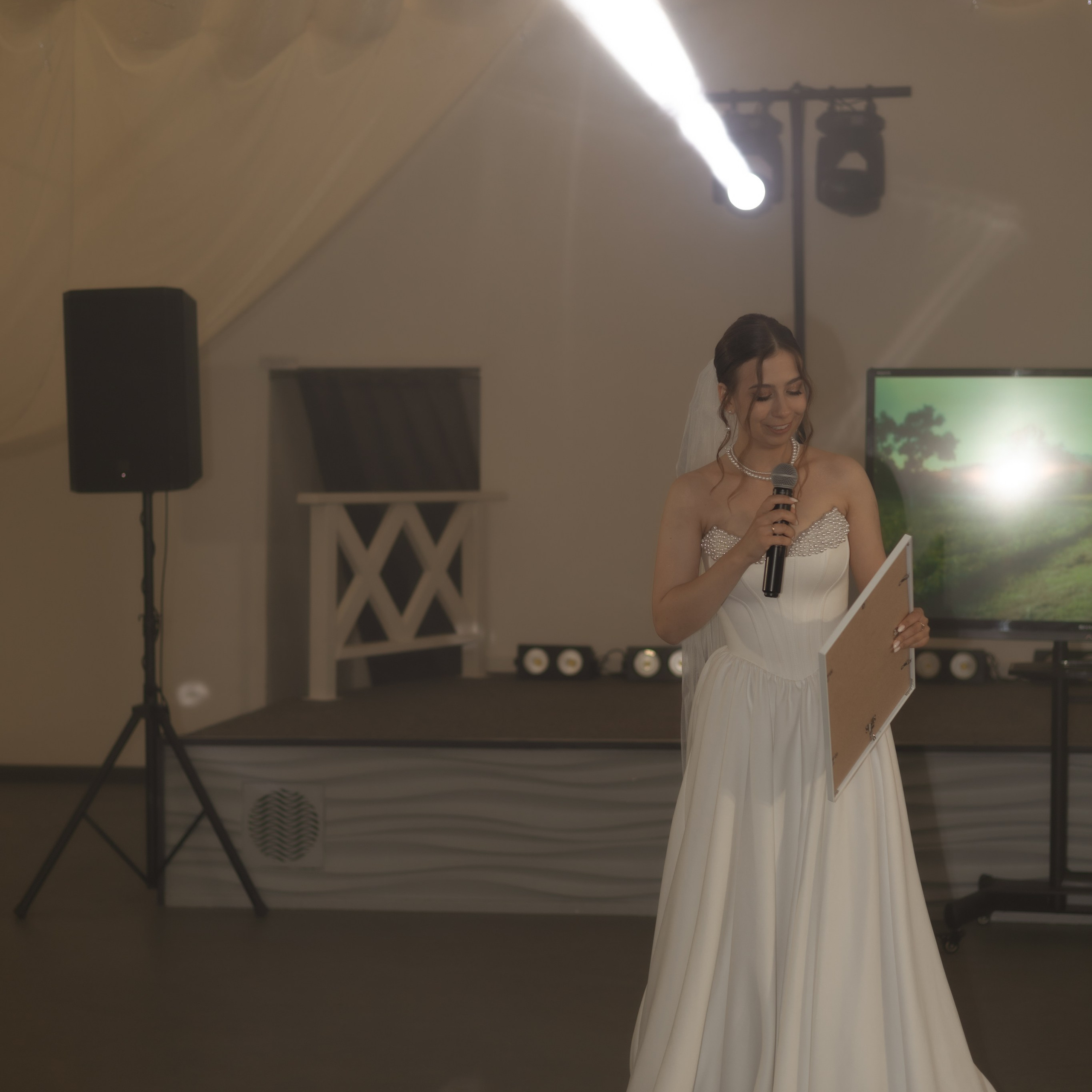 Алина и Дима. Wedding Story