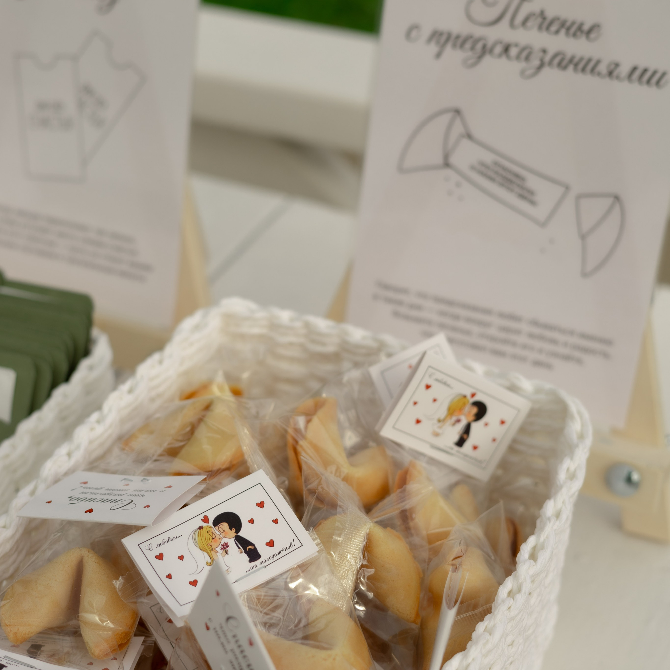 Алина и Дима. Wedding Story