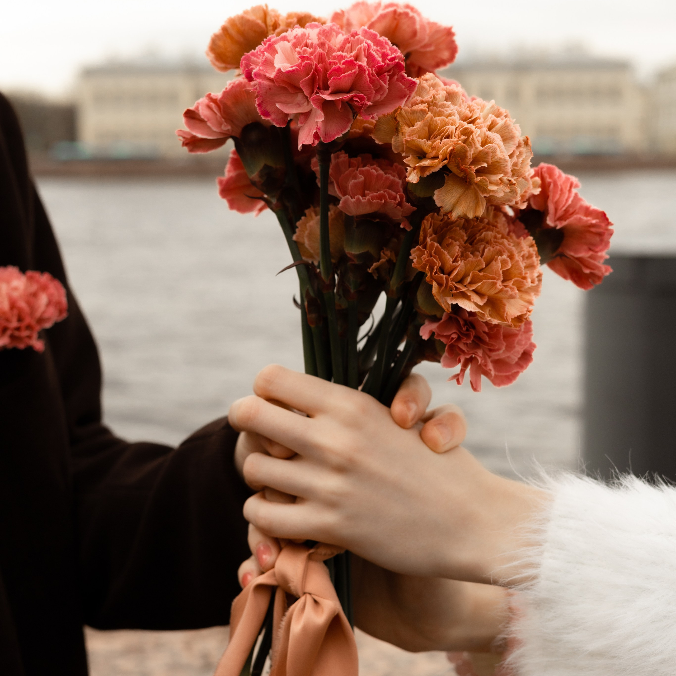 София и Матвей. Wedding Story