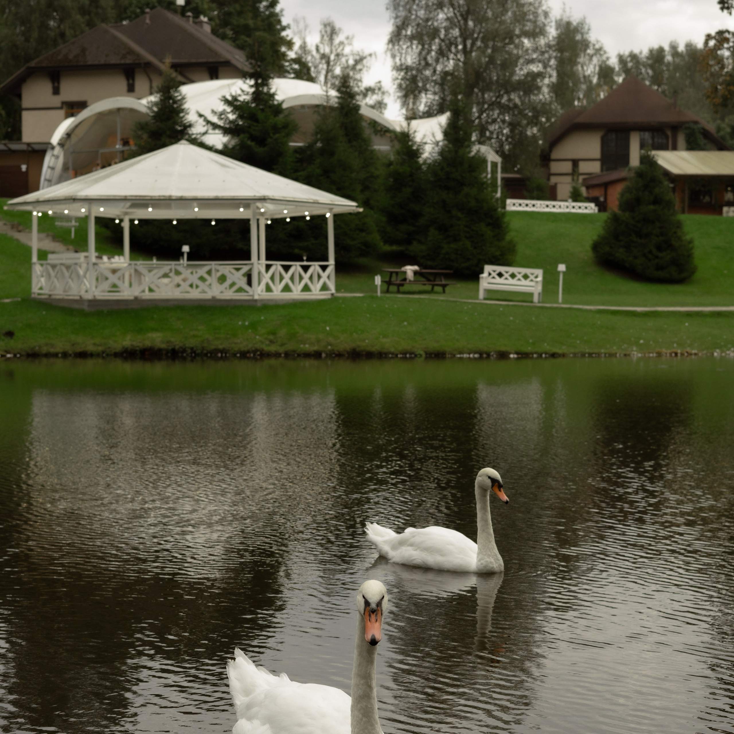 Алина и Дима. Wedding Story