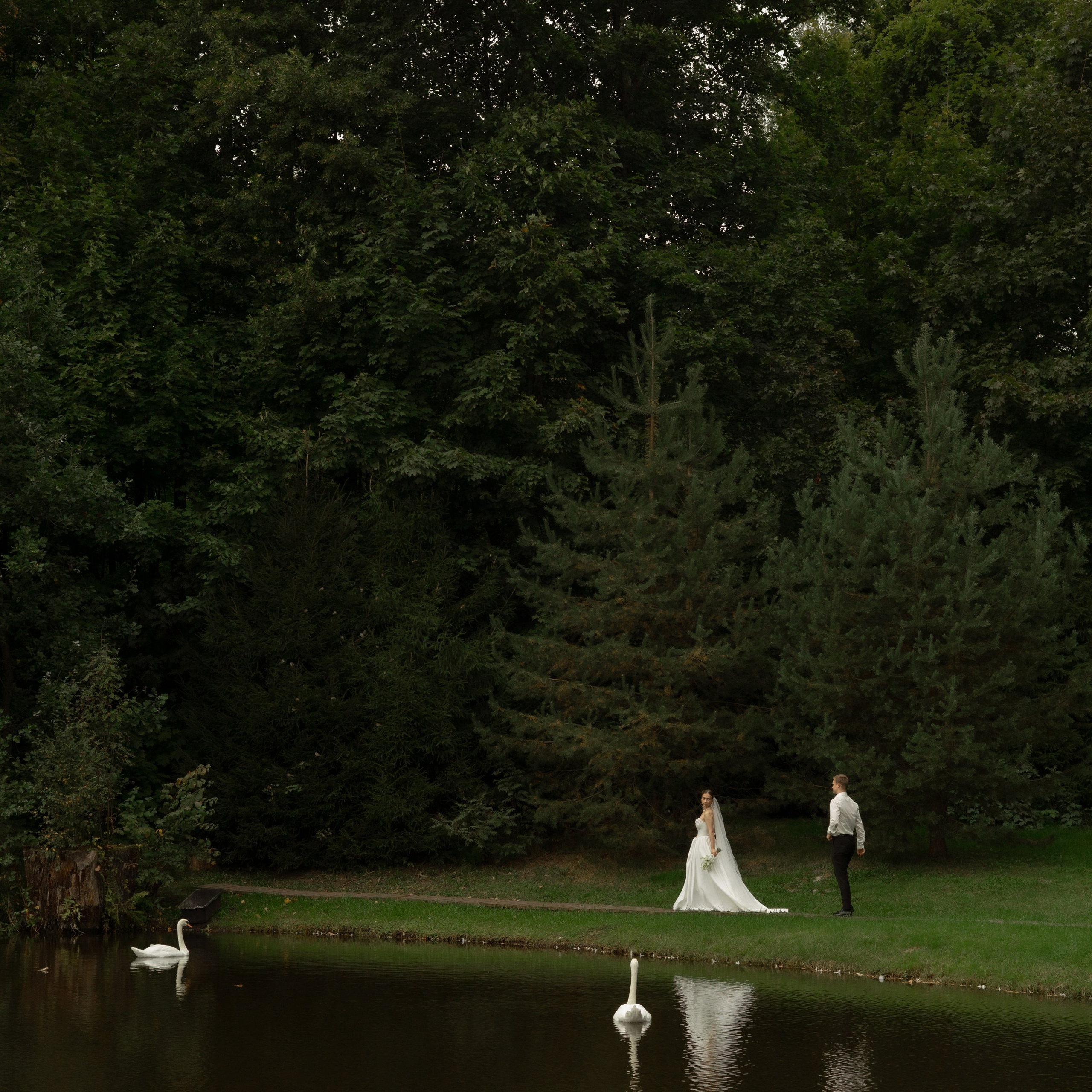 Алина и Дима. Wedding Story