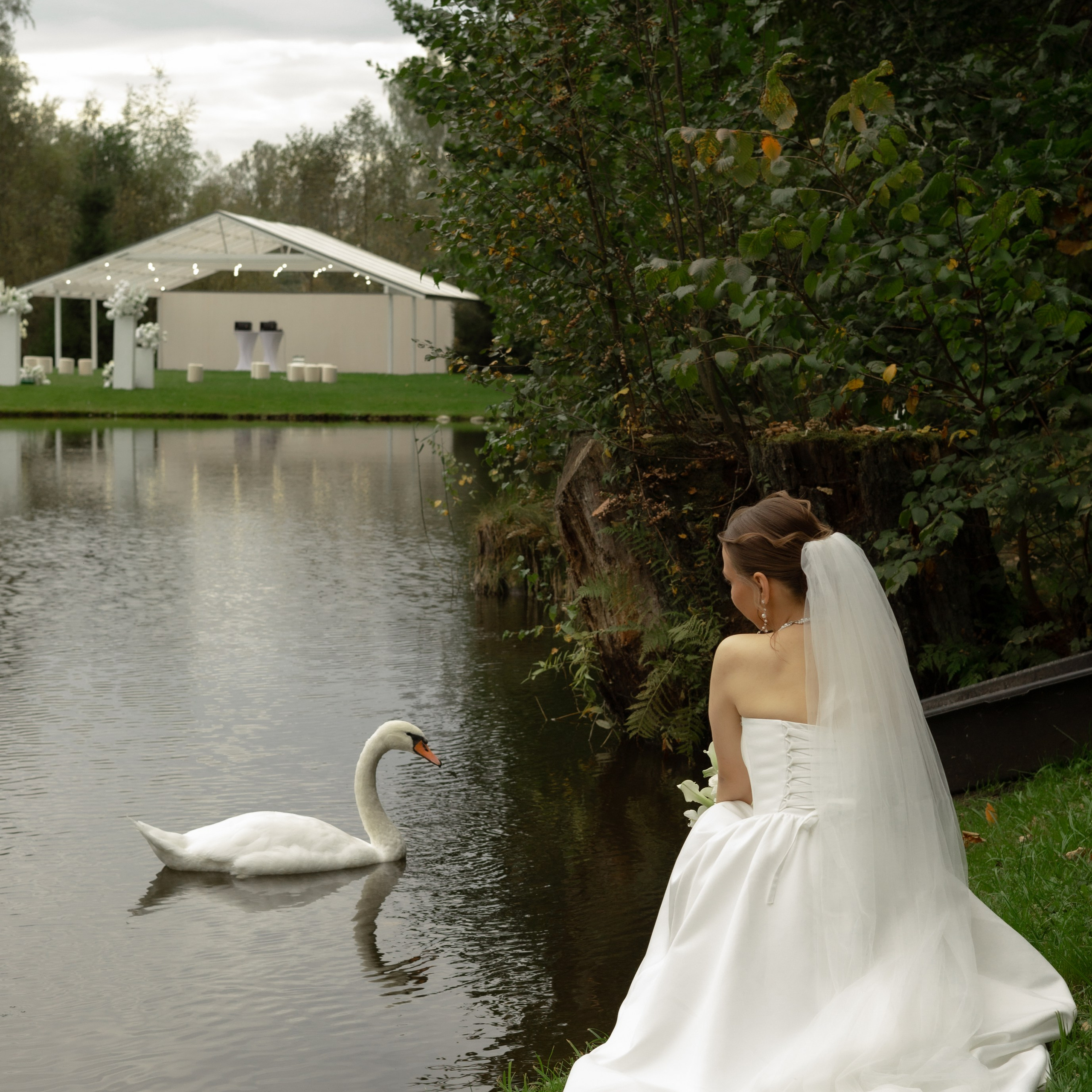 Алина и Дима. Wedding Story