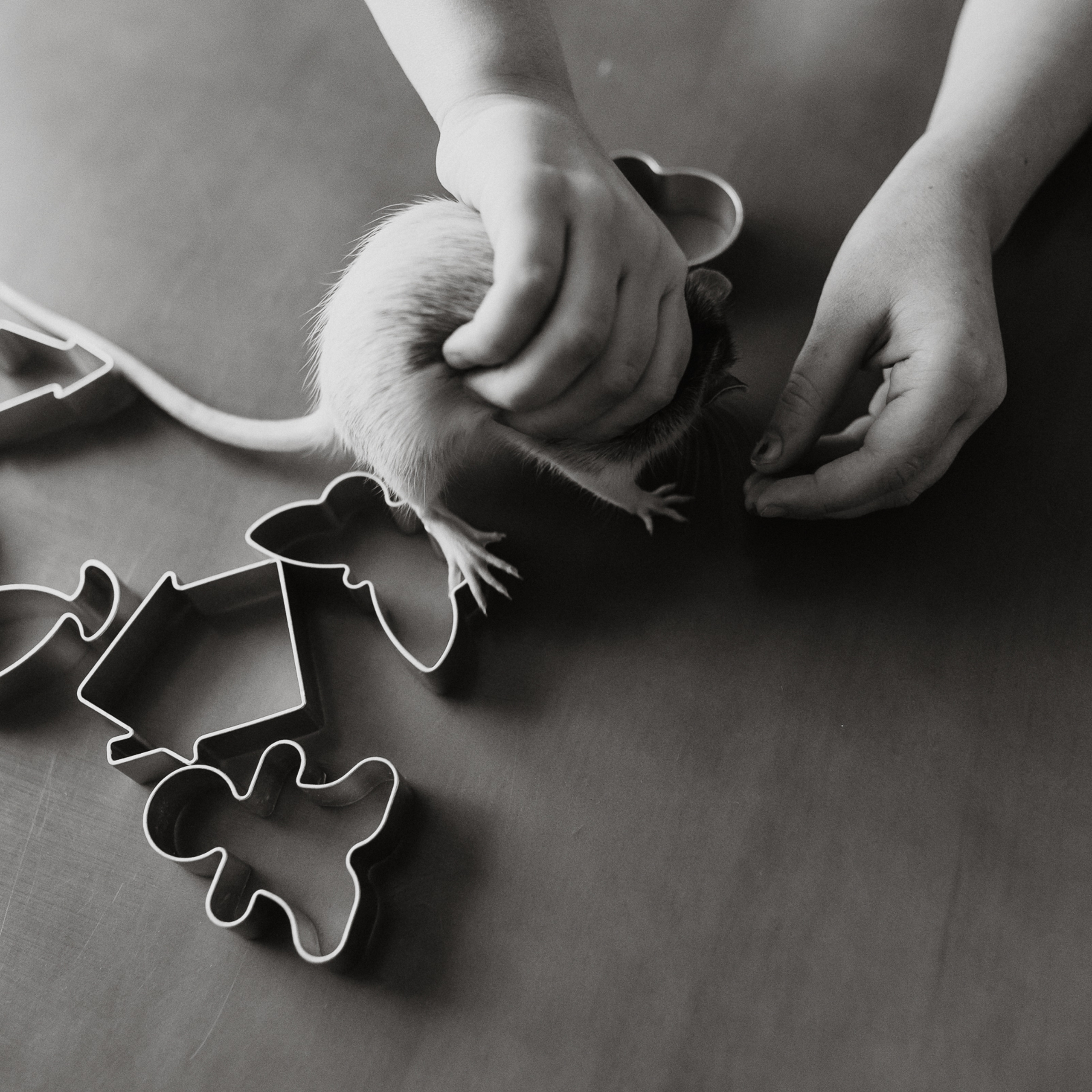 история одного утра